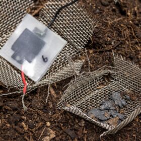 La prima batteria… biodegradabile è già realtà in Svizzera