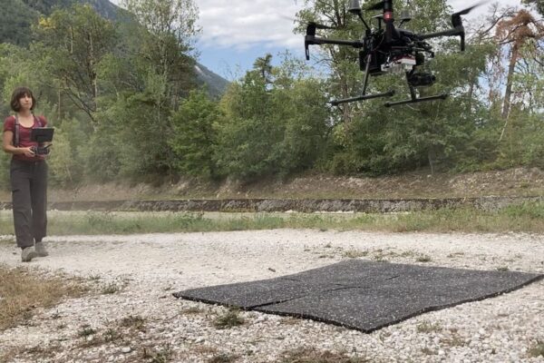 Catturato in Vallese lo… stress invisibile di una foresta