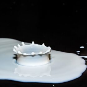Tutto quello che di… “innovativo” bisogna sapere sul latte