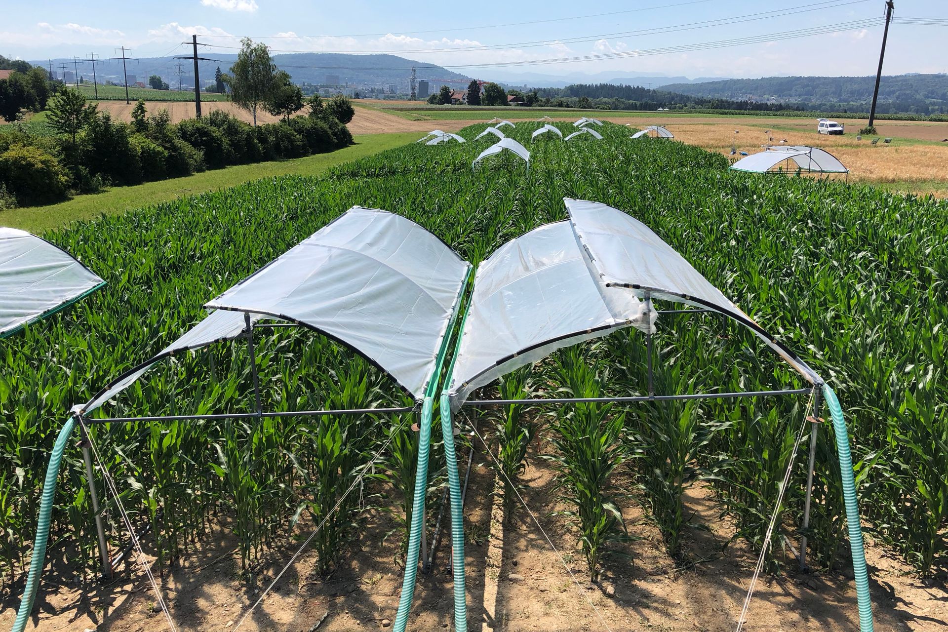 L'esperimento sui sistemi agricoli e la lavorazione del terreno dell’agenzia Agroscope a Zurigo valuta gli effetti dell'agricoltura biologica, conservativa e convenzionale dei seminativi sulla resa delle piante e su una vasta gamma di servizi ecosistemici: è stato anche testato come le diverse pratiche agricole rispondono alla siccità simulata, ricreata attraverso schermi di plastica...