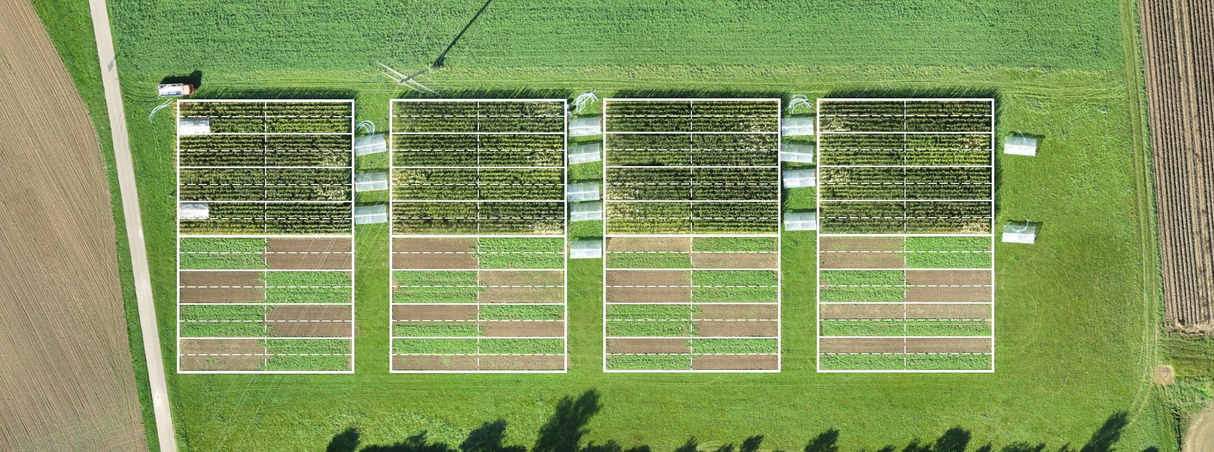 L'esperimento sui sistemi agricoli e la lavorazione del terreno dell’agenzia Agroscope a Zurigo valuta gli effetti dell'agricoltura biologica, conservativa e convenzionale dei seminativi sulla resa delle piante e su una vasta gamma di servizi ecosistemici: è stato anche testato come le diverse pratiche agricole rispondono alla siccità simulata, ricreata attraverso schermi di plastica...