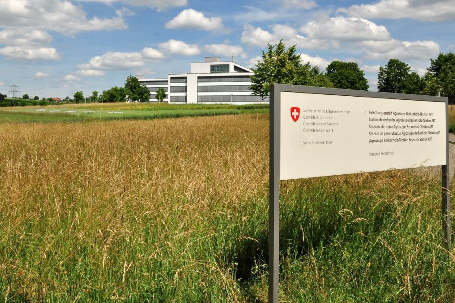 Un'area agricola soggetta agli esperimenti di Agroscope