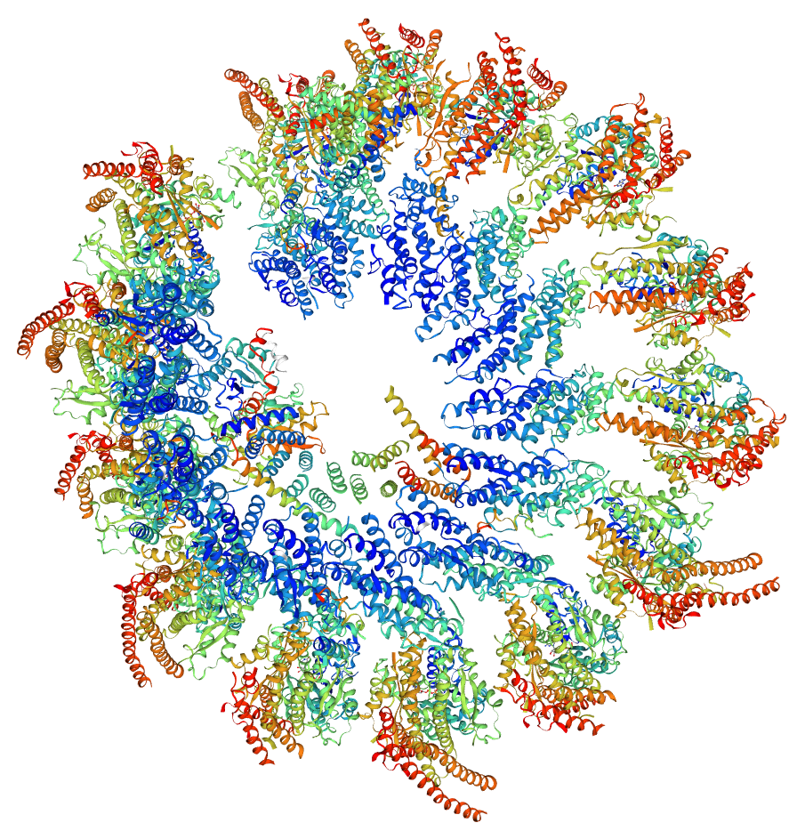 La Tubulina è una proteina globulare dal peso di circa 55 kDa che costituisce l'unità fondamentale delle strutture del citoscheletro dette microtubuli