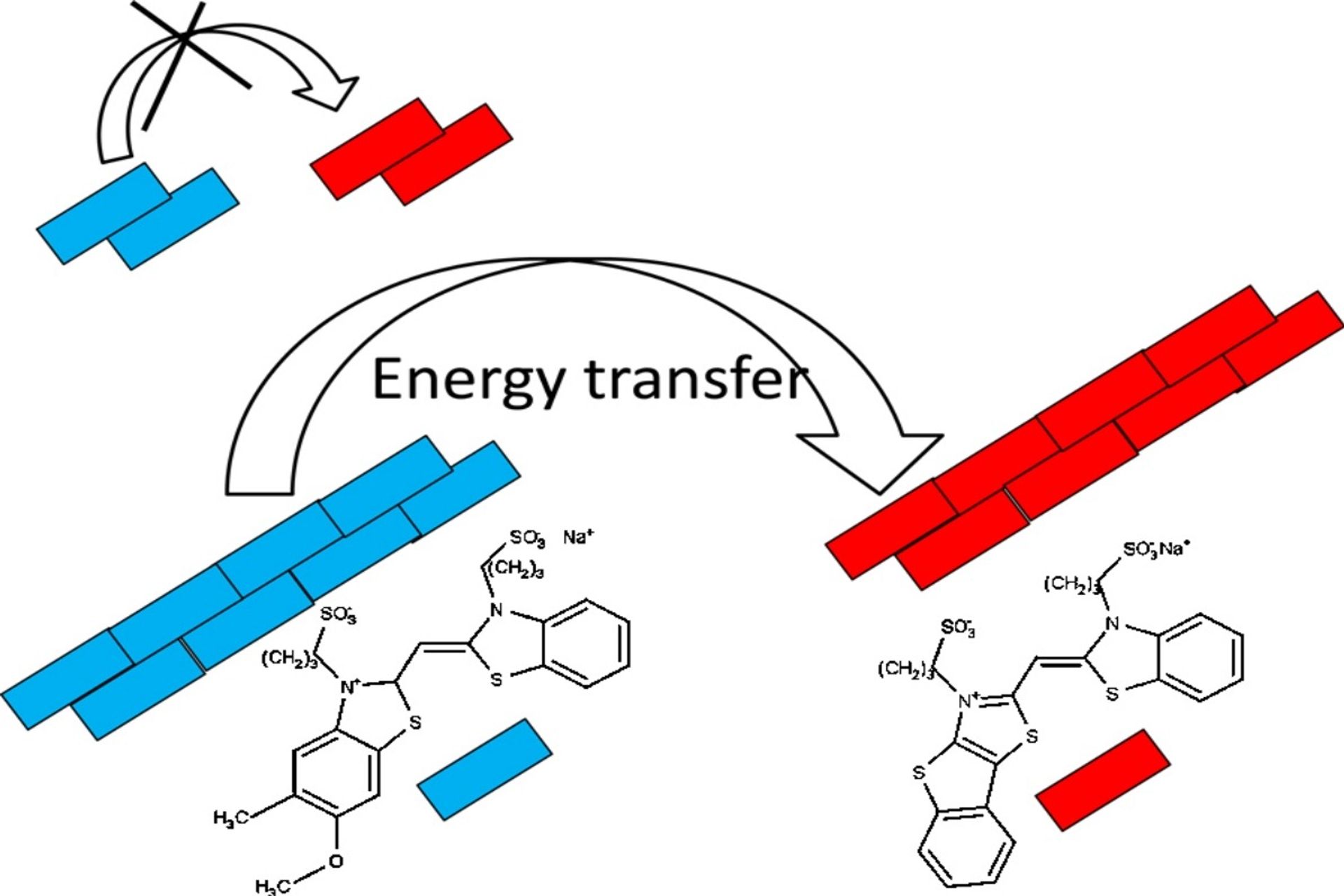 Trasferimento efficiente di energia tra Aggregati J di coloranti tiamonometinici