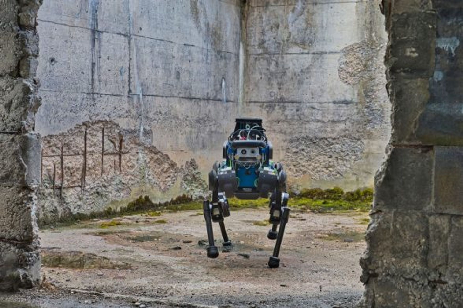 Un'immagine del robot a quattro zampe di armasuisse S+T (CSDR DDPS)