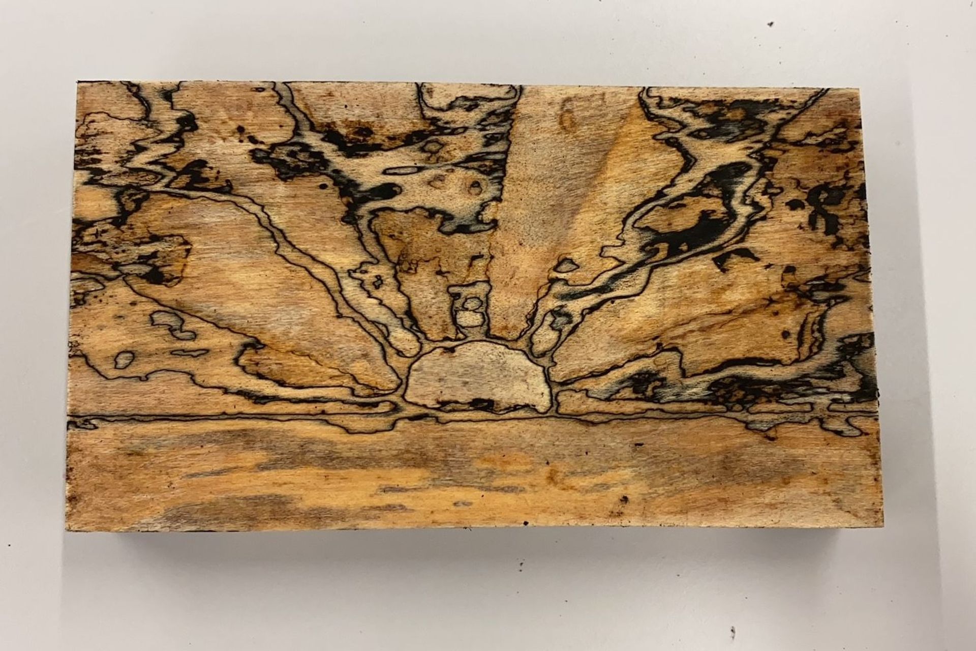 In un processo appositamente sviluppato e congegnato, il team scientifico di Francis Schwarze è riuscito a controllare il processo di scissione di vari funghi, creando così immagini nel legno colonizzato con la forma di un tramonto (Foto: EMPA)