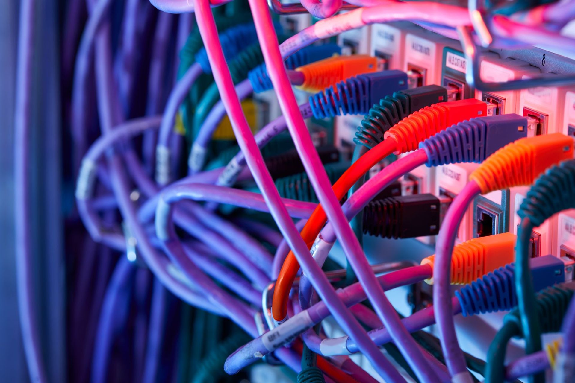 I variopinti cavi di connessione a un server di immagazzinamento dei dati
