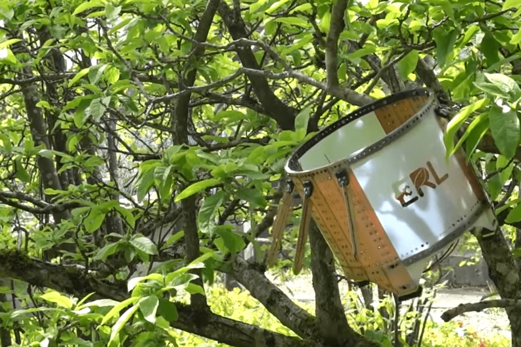 Il drone "Hedgehog" può appendersi ai rami e spegnere il motore: è stato realizzato in Svizzera da una collaborazione scientifica e tecnologica fra il Politecnico di Zurigo e l’Istituto Federale di ricerca per la Foresta, la Neve e il Paesaggio di Birmensdorf (Foto: Gottardo Pestalozzi/WSL)