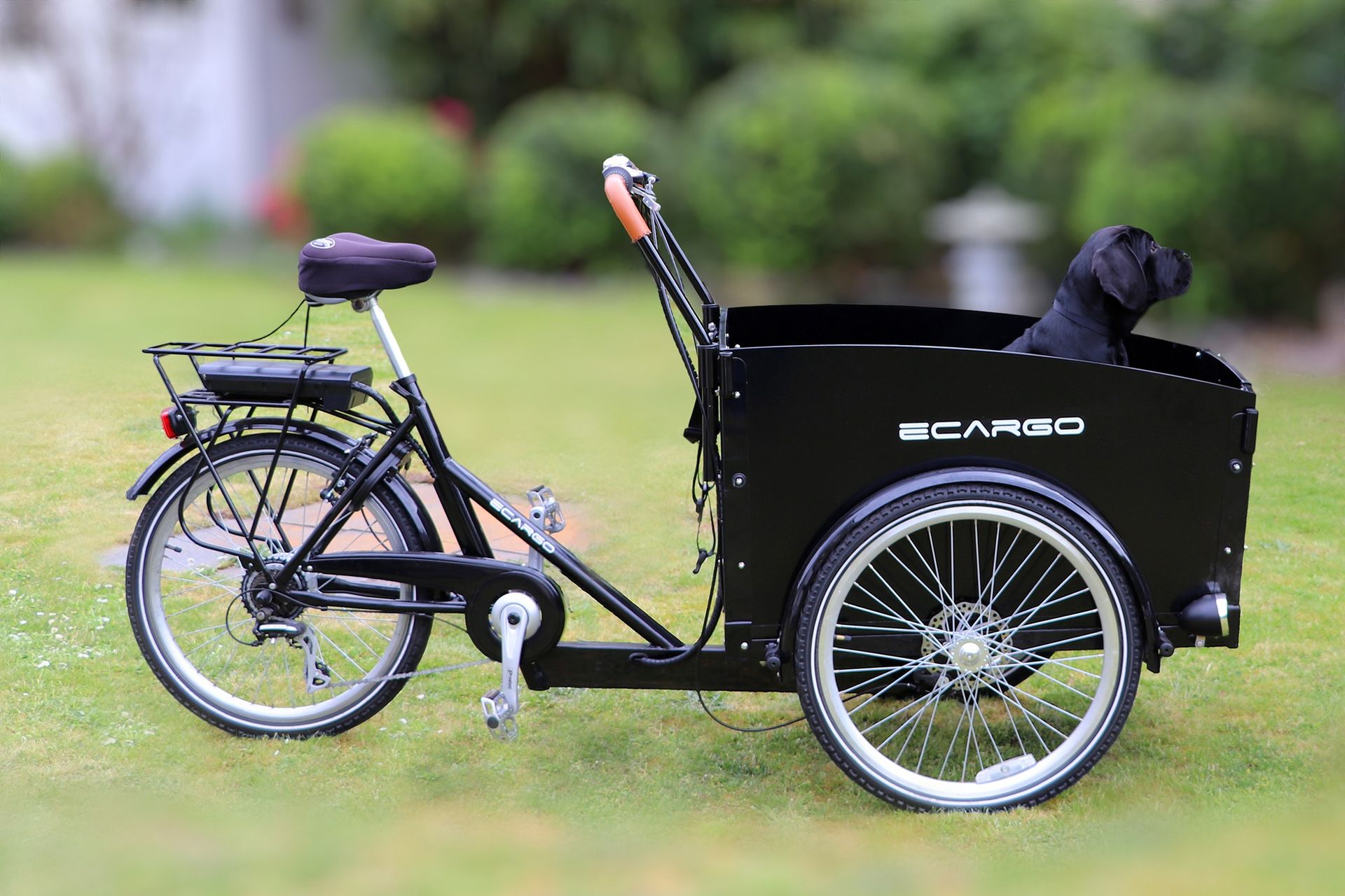 Le biciclette cargo a propulsione elettrica prendono sempre più piede
