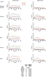 Un'immagine dello studio “Structural analysis of the Spike of the Omicron SARS-COV-2 variant by cryo-EM and implications for immune evasion” (in lingua inglese)
