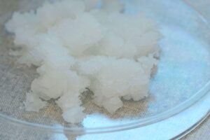 La cellulosa fibrosa usata da EMPA e Lidl per creare un nuovo packaging per frutta e verdura