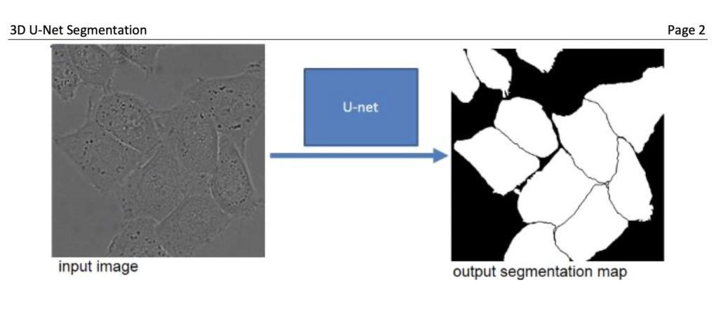 Le scansioni TC producono da 3.000 a 65.000 livelli di grigio, ma l'occhio umano può distinguere meno di 20 gradazioni e la segmentazione manuale di grandi volumi 3D è difficile e richiede tempo. Gli algoritmi di intelligenza artificiale sviluppati da Leucadia identificano bordi, confini e fori per rivelare dove si verificano le aperture e quanto sono grandi, utilizzando una TAC a fascio conico a basso dosaggio