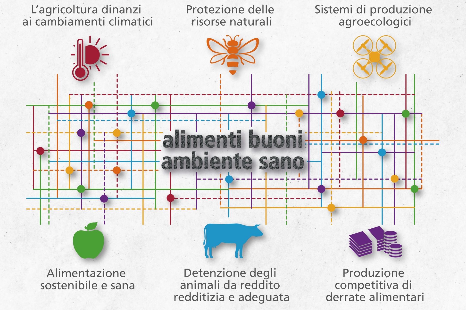 Nel periodo 2022−2025 Agroscope, Centro di Competenza per l'Agricoltura della Confederazione Svizzera, si è data sei priorità