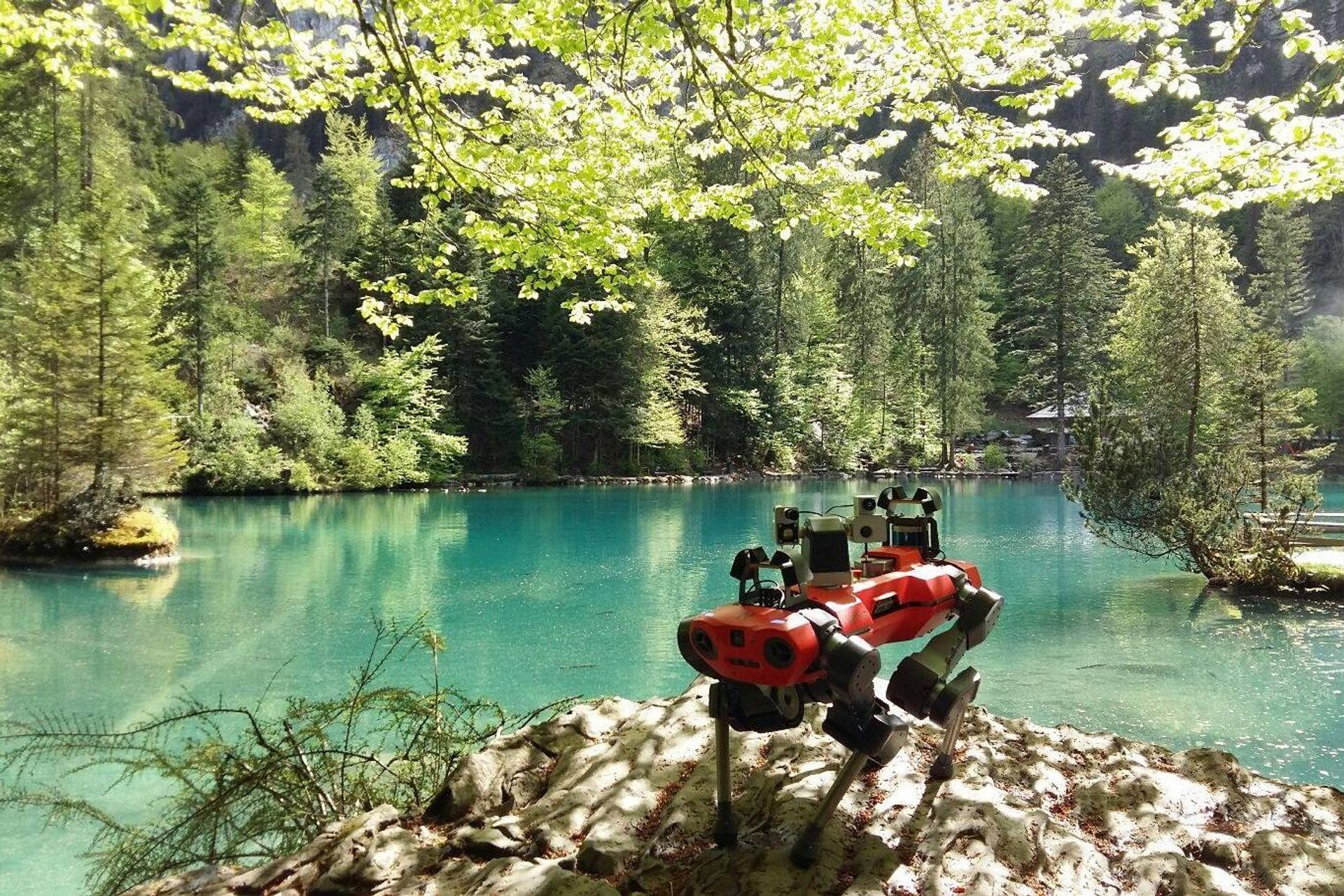 ANYmal, il robot quadrupede del Robotic Systems Lab del Politecnico di Zurigo, è in grado di percorrere velocenente e robustamente i terreni più difficili