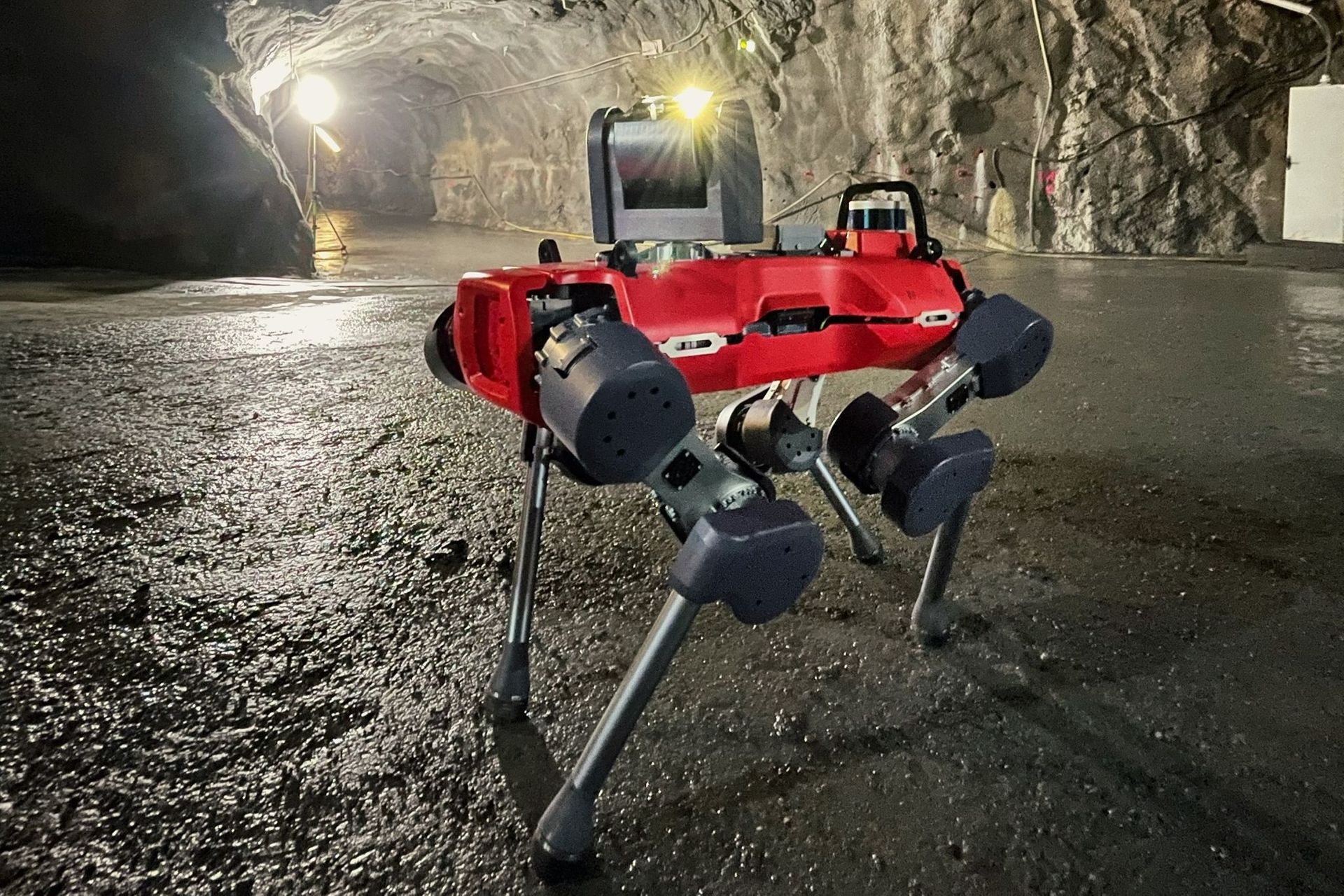 ANYmal, il robot quadrupede del Robotic Systems Lab del Politecnico di Zurigo, è in grado di percorrere velocenente e robustamente i terreni più difficili