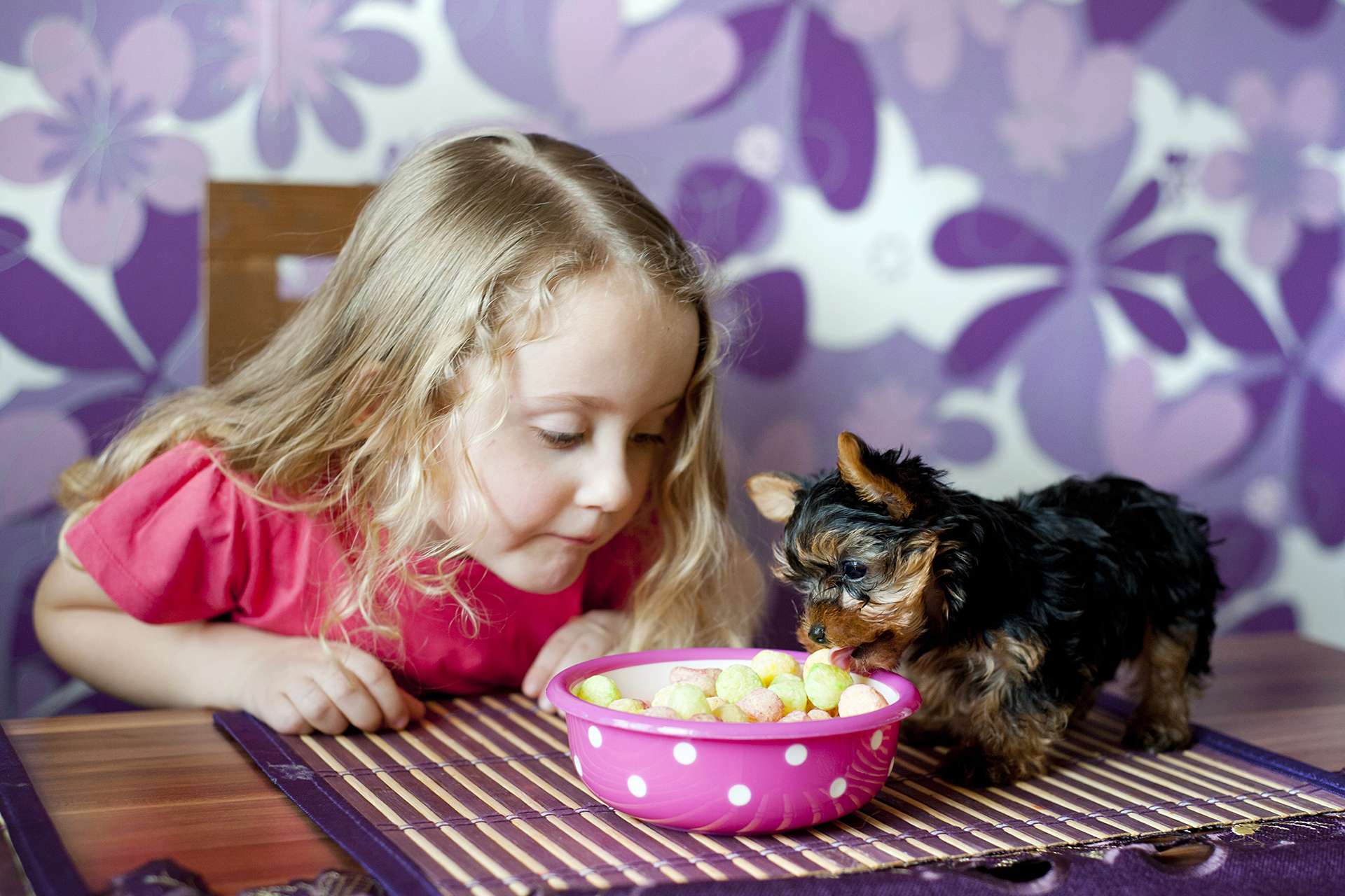 Variare l'alimentazione dei nostri animali domestici è un pensiero del tutto umano
