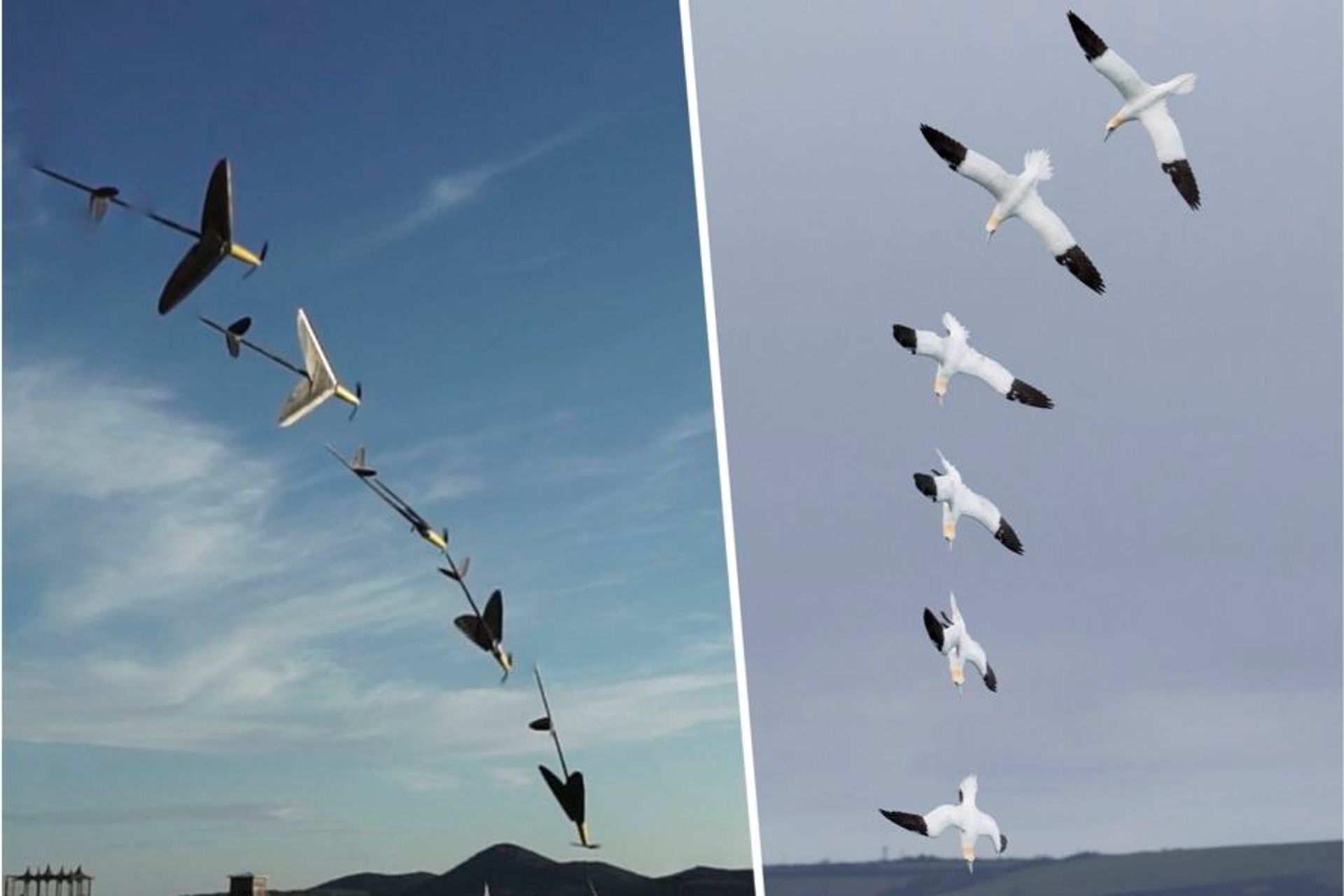 Nell'ambito del progetto "ProteusDrone", si sta creando una nuova classe di "droni in materiali morbidi" che possono cambiare la loro forma, simili al Dio del mare e delle acque Proteo della mitologia greca, che è considerato un maestro della trasformazione (Foto: Imperial College)