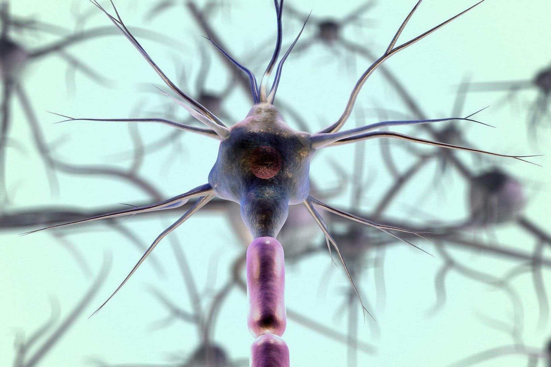Gli algoritmi di intelligenza artificiale si basano su modelli matematici chiamati reti neurali, ispirati alla struttura biologica del cervello umano, che si compone di nodi interconnessi