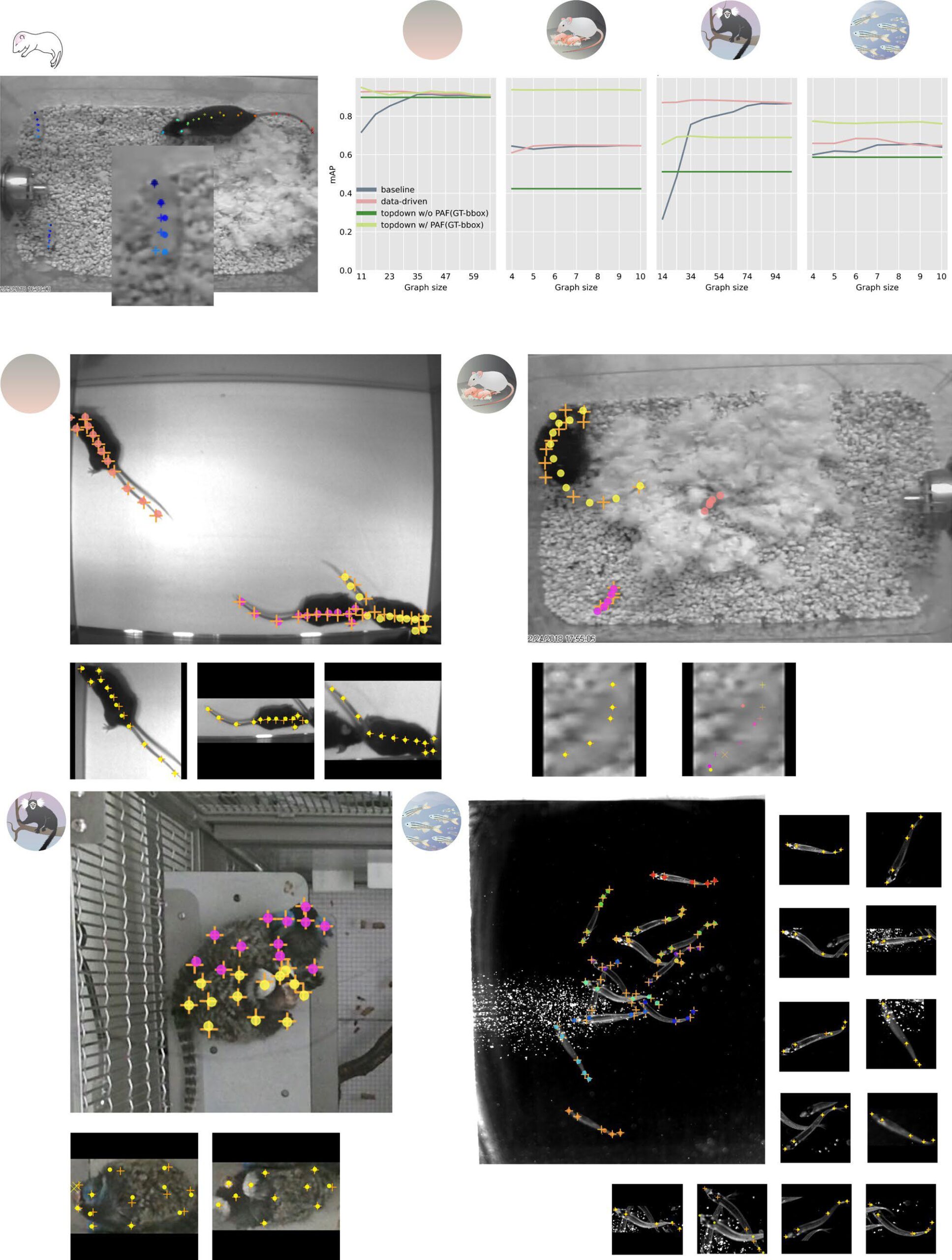 I set di dati raccolti dal Politecnico Federale di Losanna, con i colleghi del MIT e dell'Università di Harvard, per effettuare il benchmarking del software DeepLabCut di studio del comportamento animale individuale e collettivo consistevano nell’esame di tre topi in un campo aperto, topi genitori in una gabbia che funge da tana, coppie di uistitì pigmei alloggiati in un grande recinto, e quattordici pesci in un serbatoio di flusso
