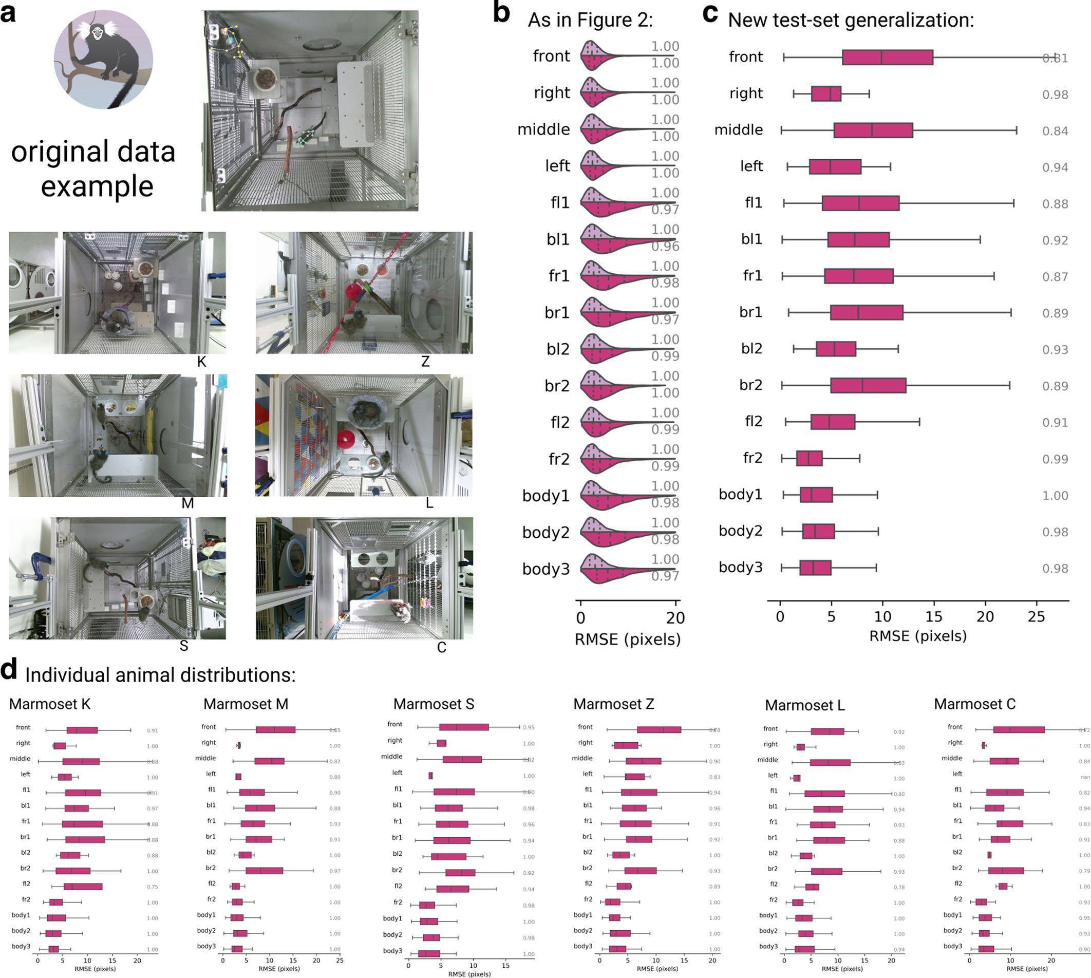 I set di dati raccolti dal Politecnico Federale di Losanna, con i colleghi del MIT e dell'Università di Harvard, per effettuare il benchmarking del software DeepLabCut di studio del comportamento animale individuale e collettivo consistevano nell’esame di tre topi in un campo aperto, topi genitori in una gabbia che funge da tana, coppie di uistitì pigmei alloggiati in un grande recinto, e quattordici pesci in un serbatoio di flusso