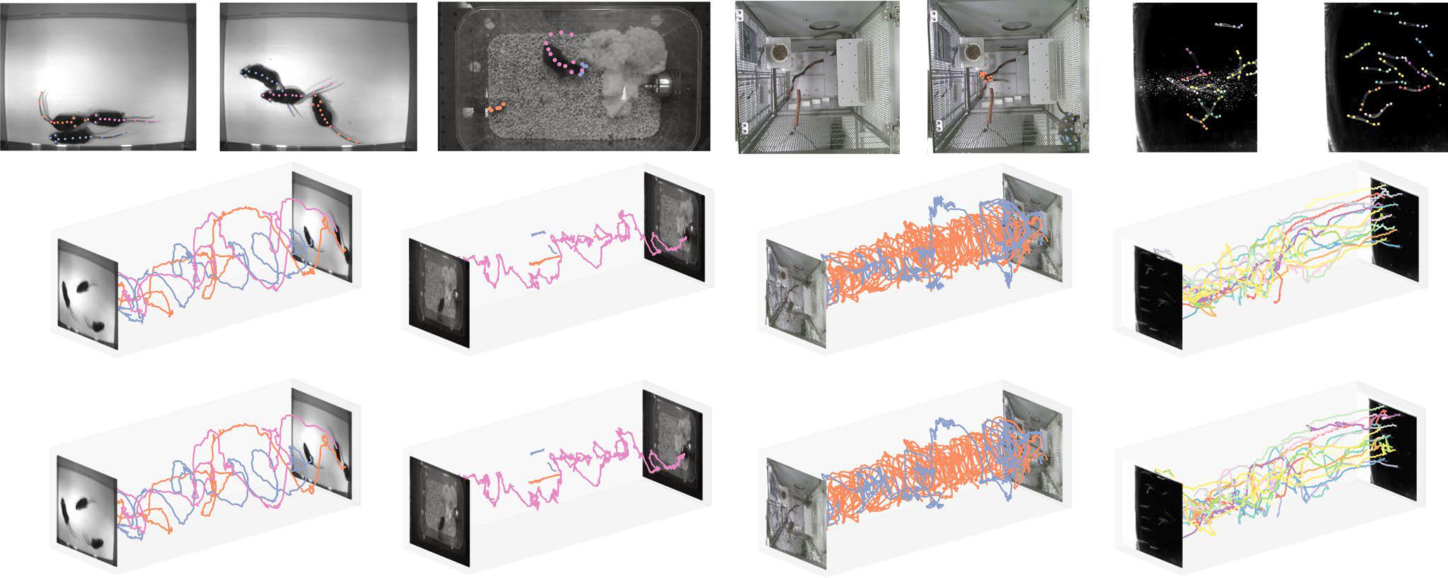 I set di dati raccolti dal Politecnico Federale di Losanna, con i colleghi del MIT e dell'Università di Harvard, per effettuare il benchmarking del software DeepLabCut di studio del comportamento animale individuale e collettivo consistevano nell’esame di tre topi in un campo aperto, topi genitori in una gabbia che funge da tana, coppie di uistitì pigmei alloggiati in un grande recinto, e quattordici pesci in un serbatoio di flusso
