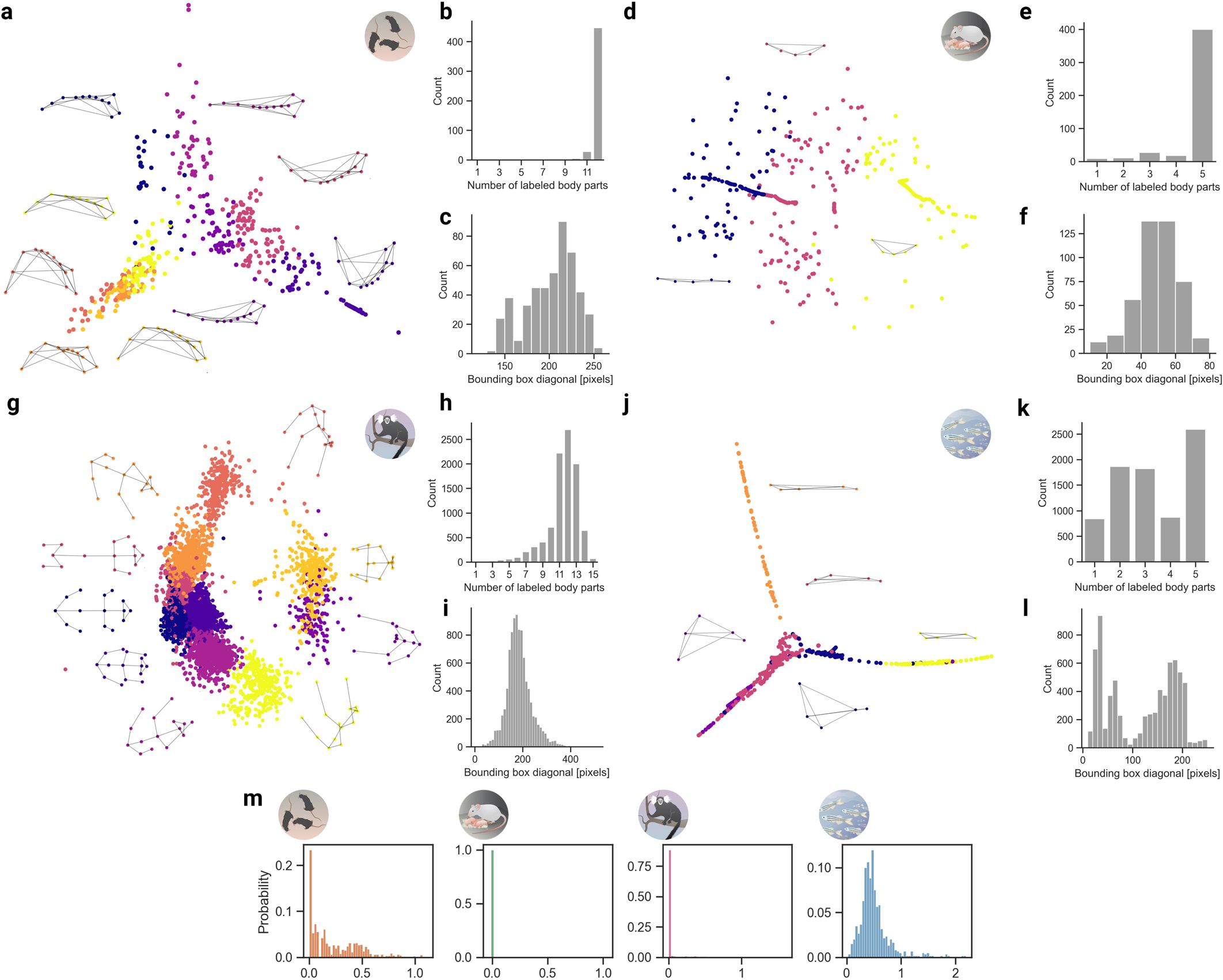 I set di dati raccolti dal Politecnico Federale di Losanna, con i colleghi del MIT e dell'Università di Harvard, per effettuare il benchmarking del software DeepLabCut di studio del comportamento animale individuale e collettivo consistevano nell’esame di tre topi in un campo aperto, topi genitori in una gabbia che funge da tana, coppie di uistitì pigmei alloggiati in un grande recinto, e quattordici pesci in un serbatoio di flusso