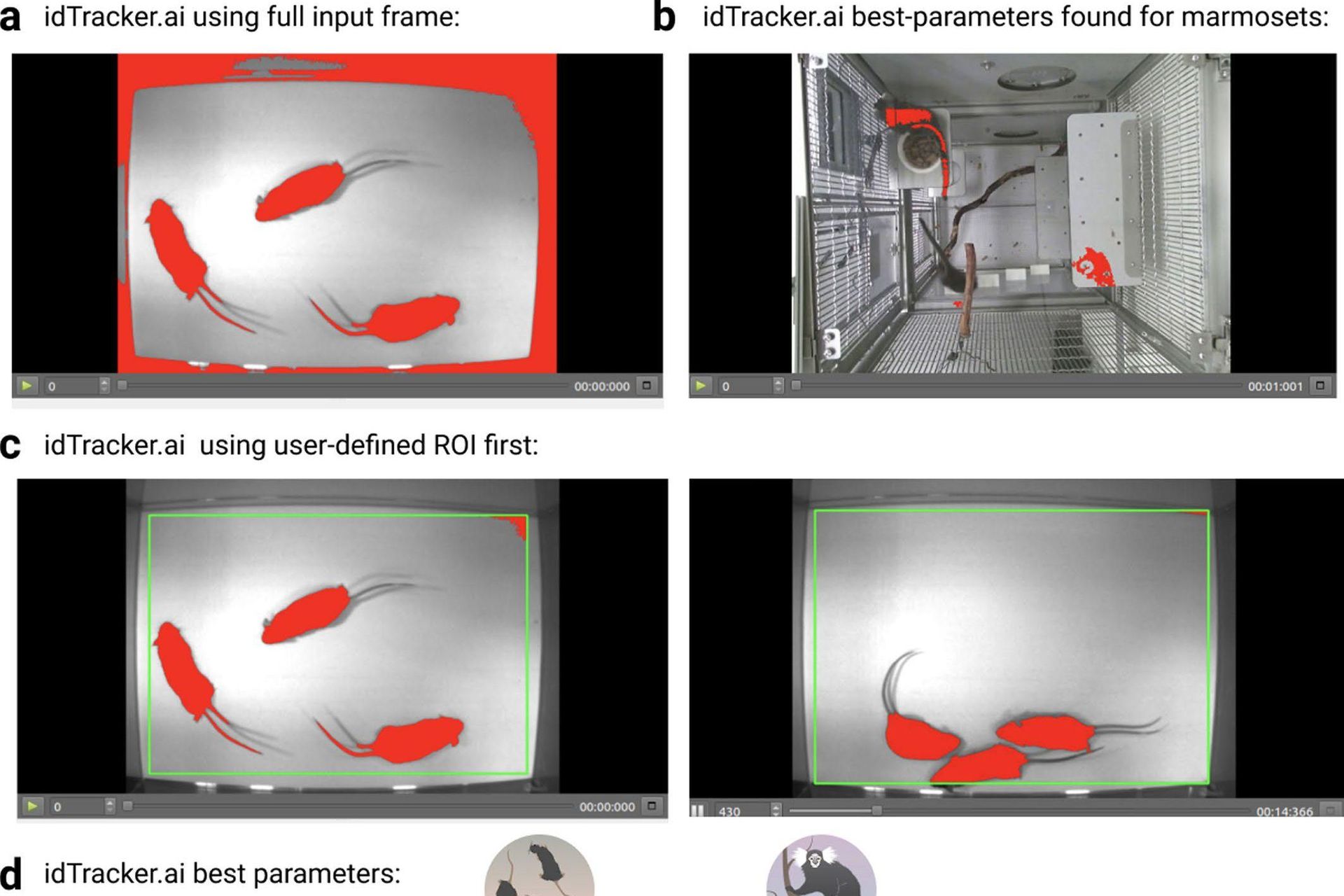 I set di dati raccolti dal Politecnico Federale di Losanna, con i colleghi del MIT e dell'Università di Harvard, per effettuare il benchmarking del software DeepLabCut di studio del comportamento animale individuale e collettivo consistevano nell’esame di tre topi in un campo aperto, topi genitori in una gabbia che funge da tana, coppie di uistitì pigmei alloggiati in un grande recinto, e quattordici pesci in un serbatoio di flusso