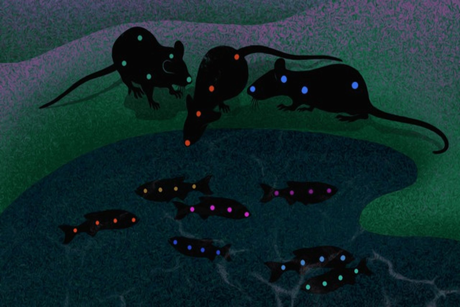 I set di dati raccolti dal Politecnico Federale di Losanna, con i colleghi del MIT e dell'Università di Harvard, per effettuare il benchmarking del software DeepLabCut di studio del comportamento animale individuale e collettivo consistevano nell’esame di tre topi in un campo aperto, topi genitori in una gabbia che funge da tana, coppie di uistitì pigmei alloggiati in un grande recinto, e quattordici pesci in un serbatoio di flusso