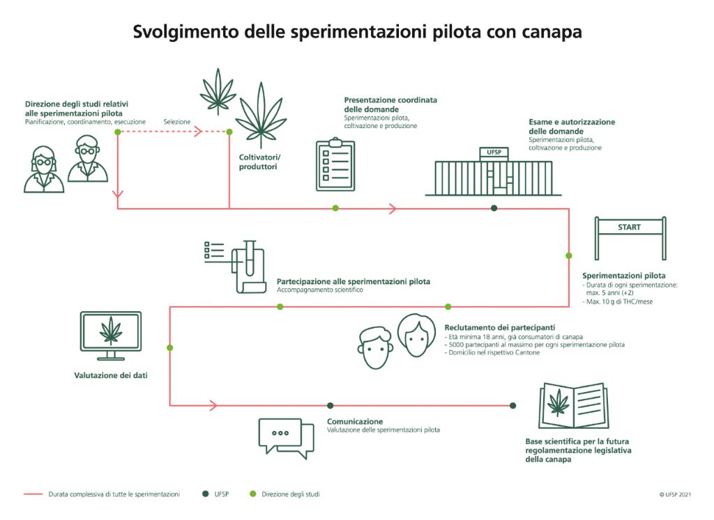 Le modalità di svolgimento delle sperimentazioni con la canapa approvate in Svizzera dall'Ufficio Federale della Sanità Pubblica