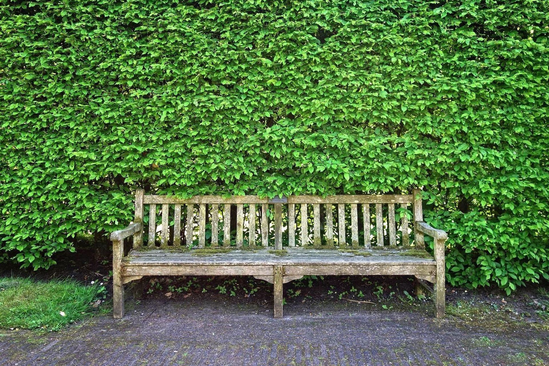 La transizione ecologica è perseguibile a piccoli passi e con la collaborazione di tutti per progredire verso un’economia “green” e per lasciarsi la vecchia società consumistica e sfruttatrice