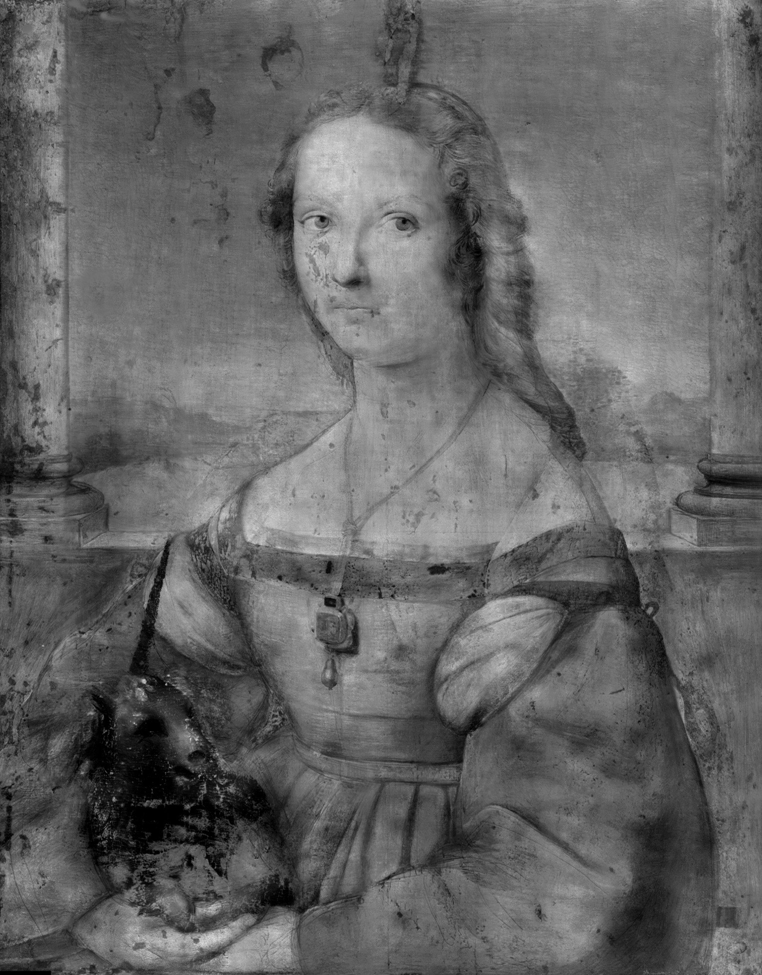 L’opera d’arte digitale “Dama Svelata” di Gloria Gatti e Maurizio Seracini