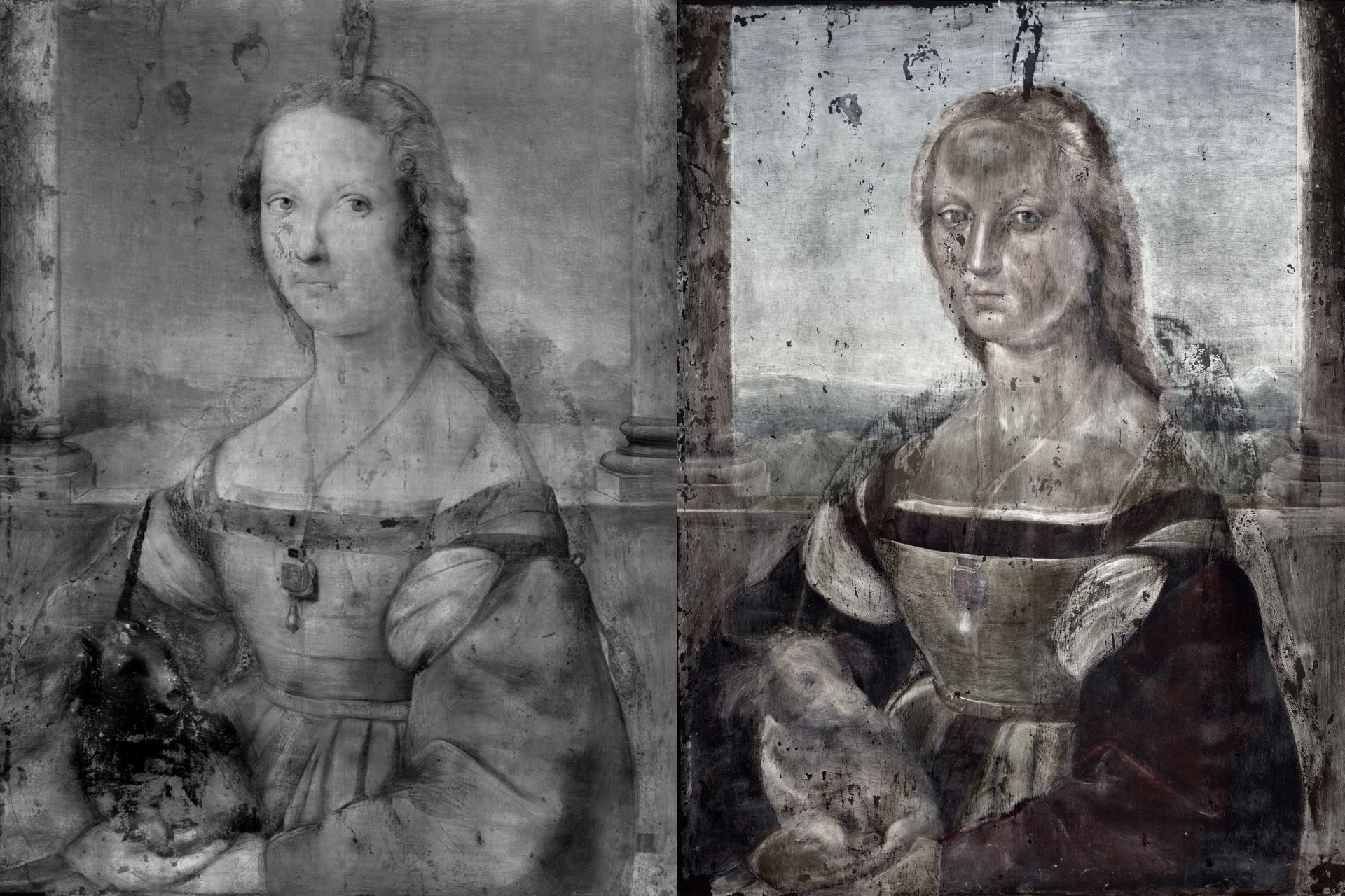 L’opera d’arte digitale “Dama Svelata” di Gloria Gatti e Maurizio Seracini