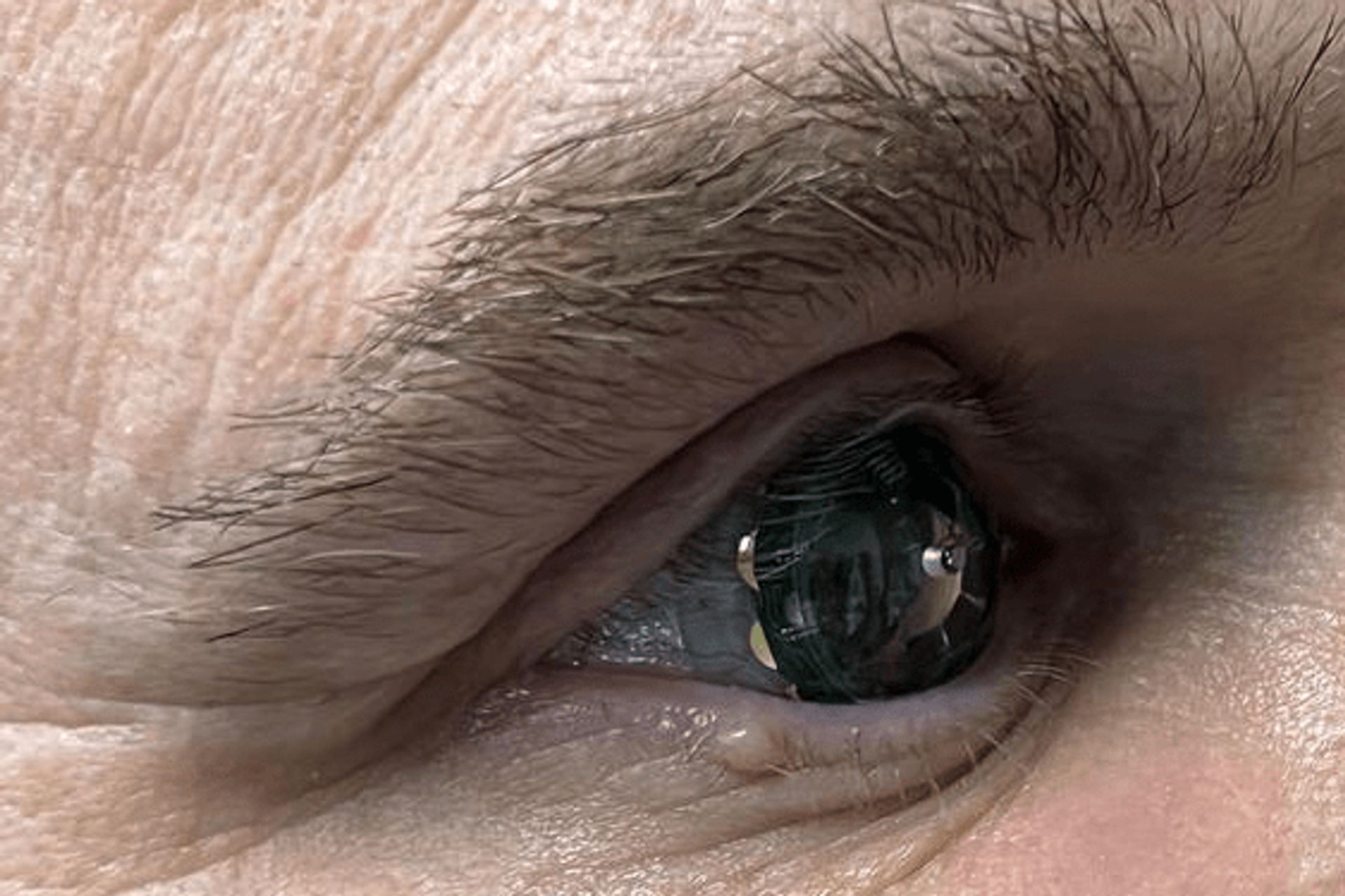 Un'esperienza "eyes-up" consente agli utenti di accedere a informazioni tempestive in modo rapido e discreto