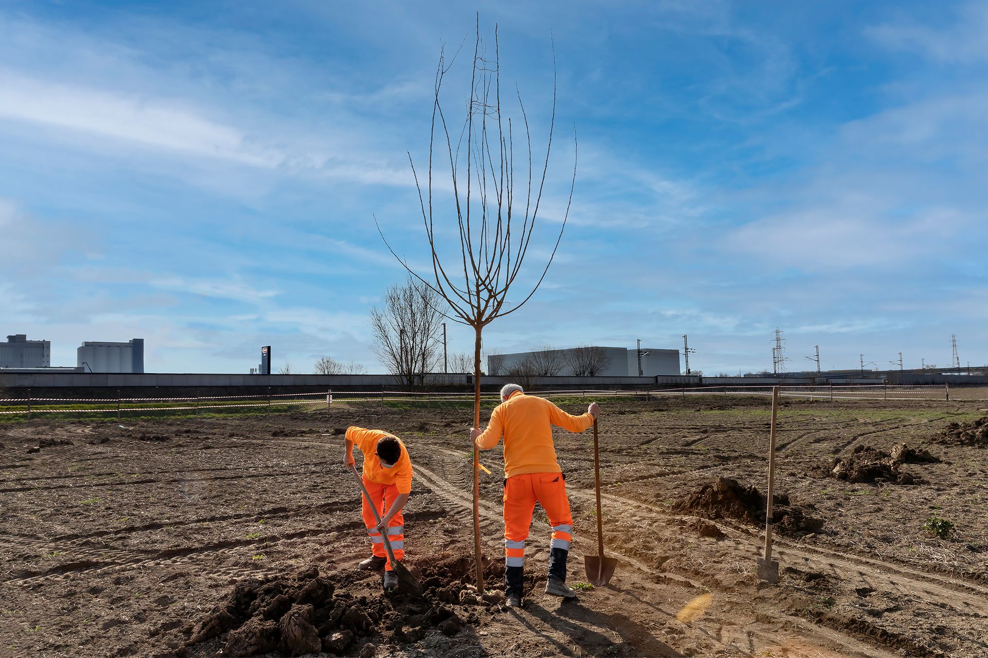 Il primo alberello piantato nel terreno dell'agriBosco Barilla di Parma