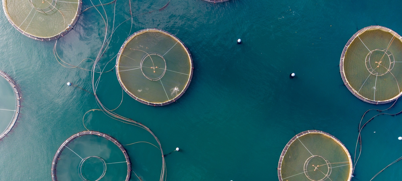 Innovativi stabilimenti di acquacoltura della Repubblica di Palau
