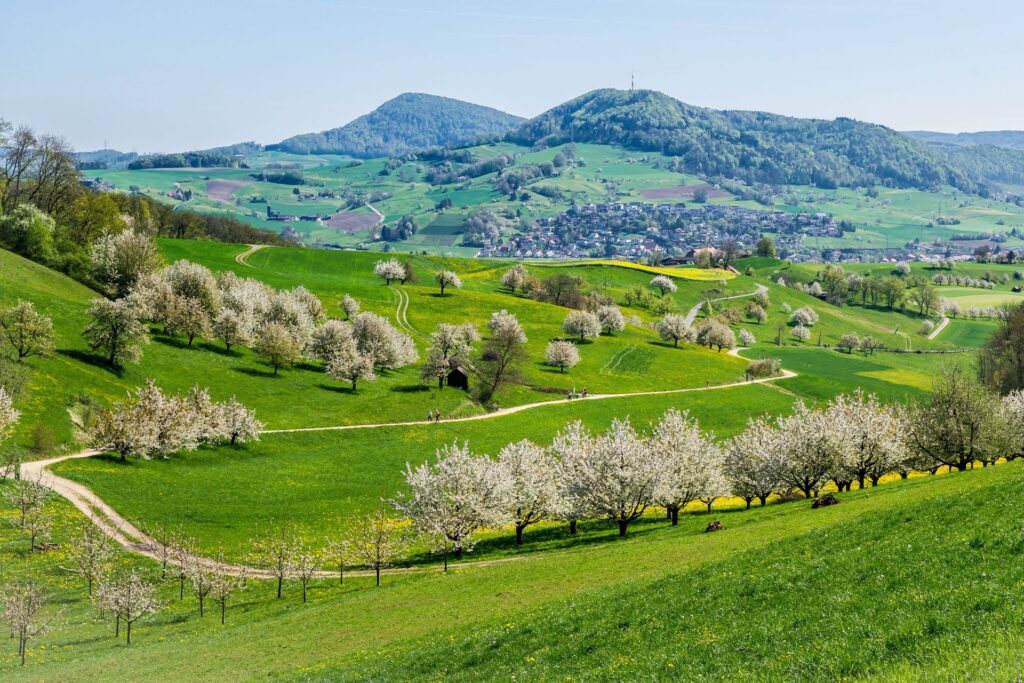 La località di Kirschenweg nella regione argoviese del Fricktal