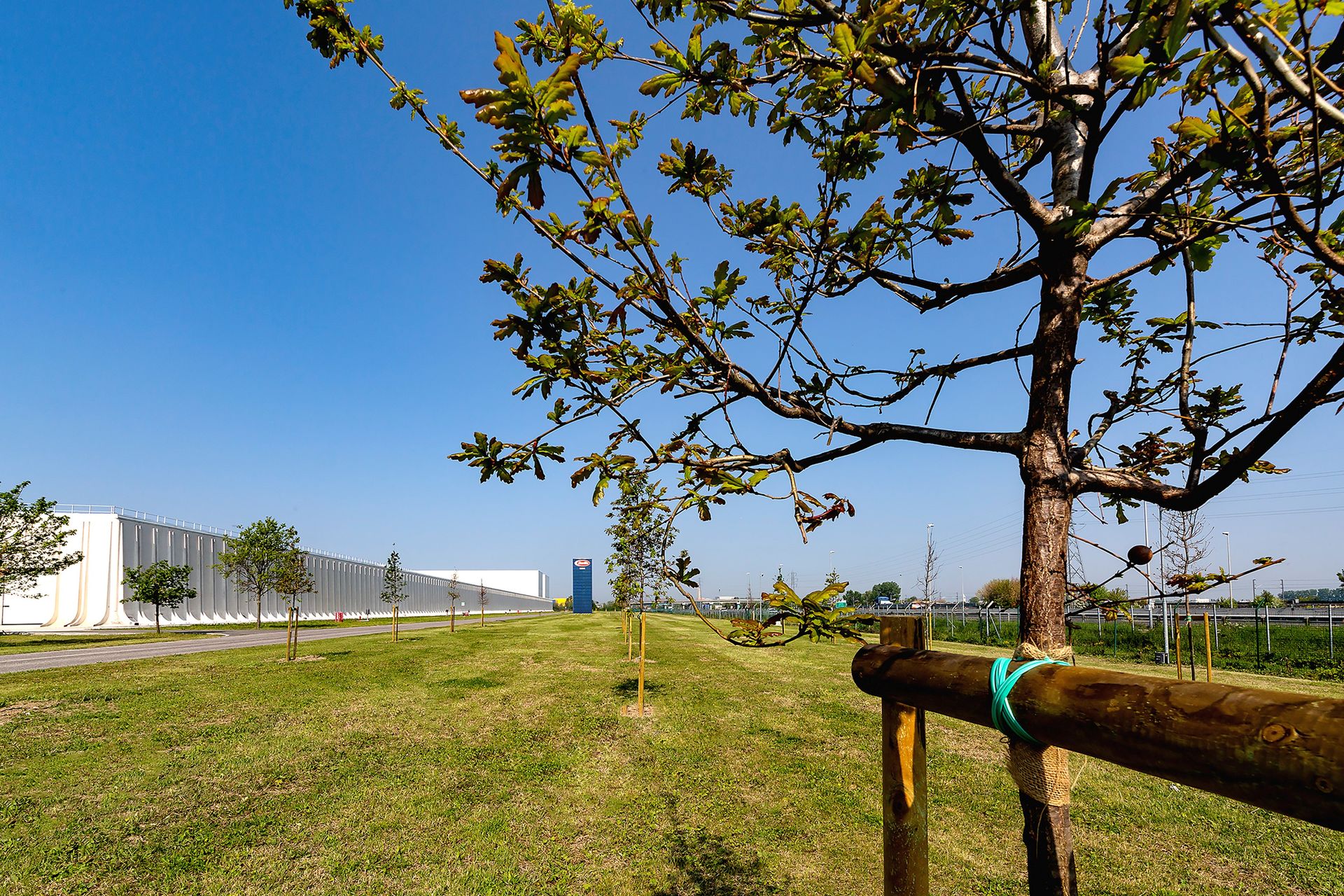 L'agriBosco Barilla ospiterà un bosco di quasi 3.000 alberi di specie autoctone