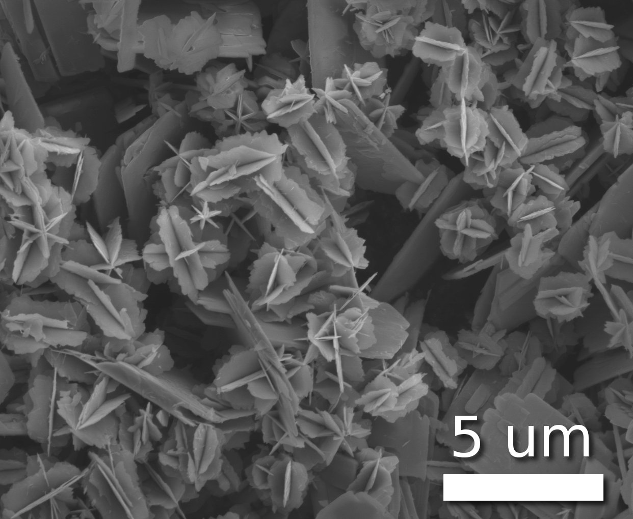 Un'immagine ingrandita di nanostelle di Biossido di Vanadio o VO2