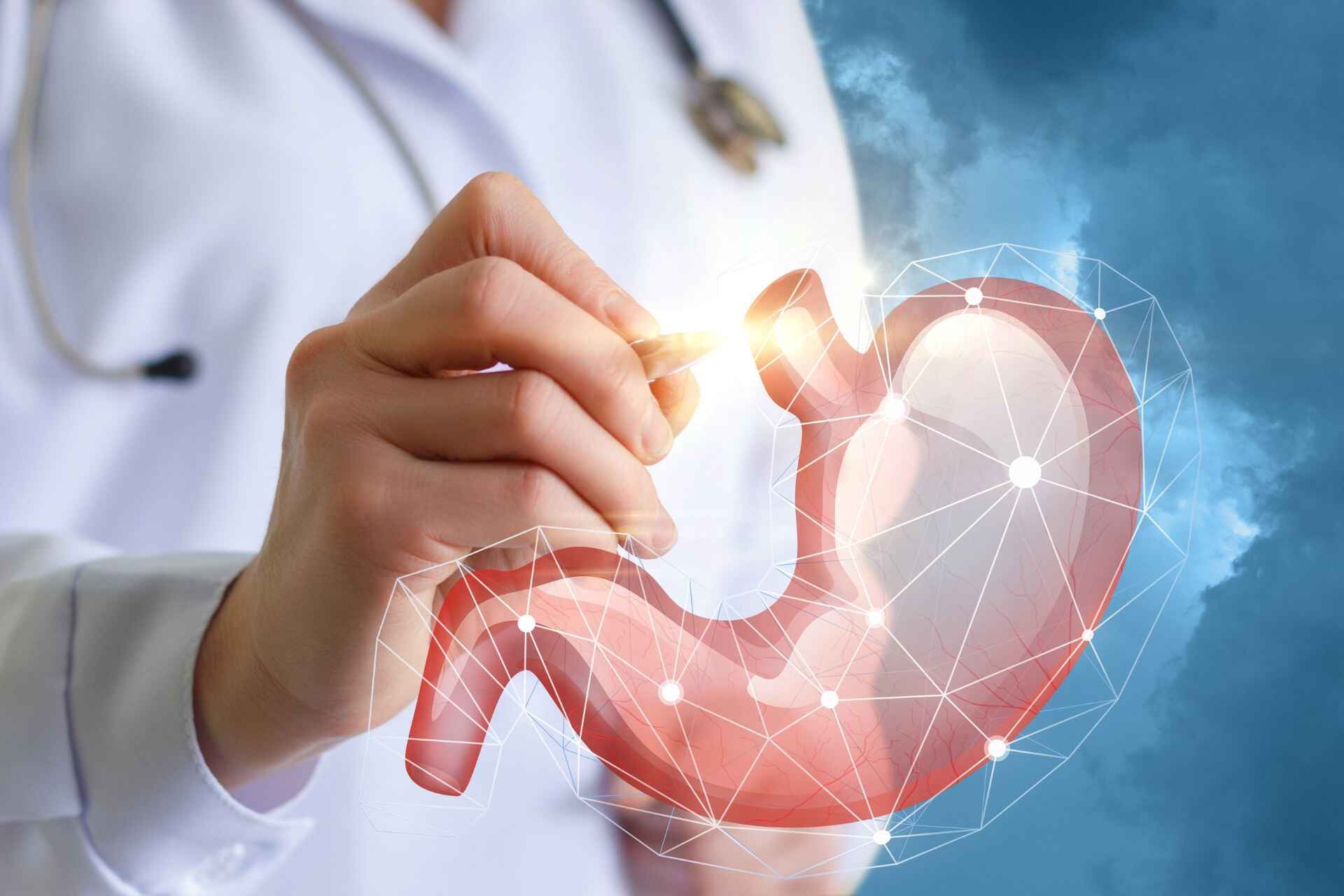 Un'illustrazione del cardias