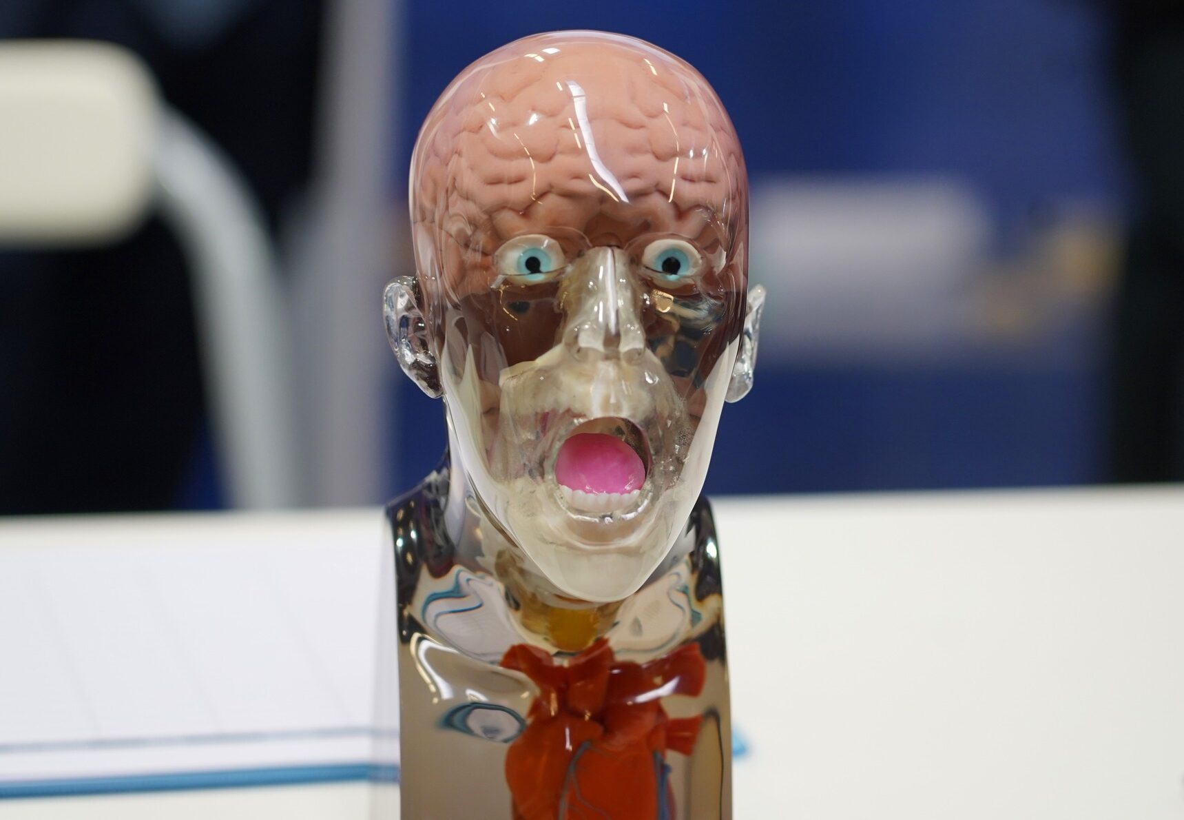 L'edizione 2021 della fiera biomedicale "B.T. Expo"