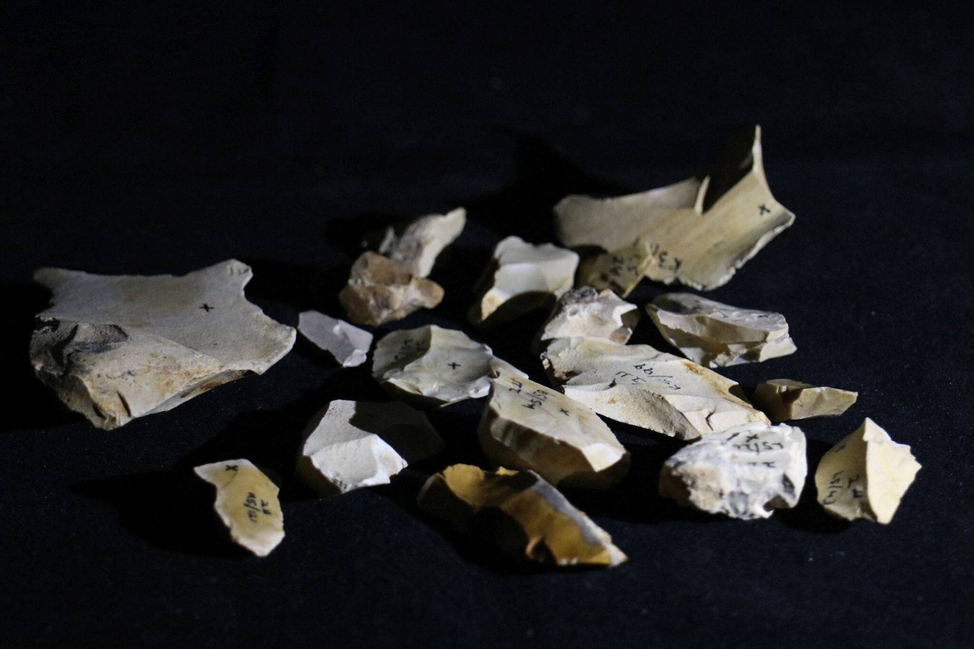 Un focolare di circa 800.000 anni fa