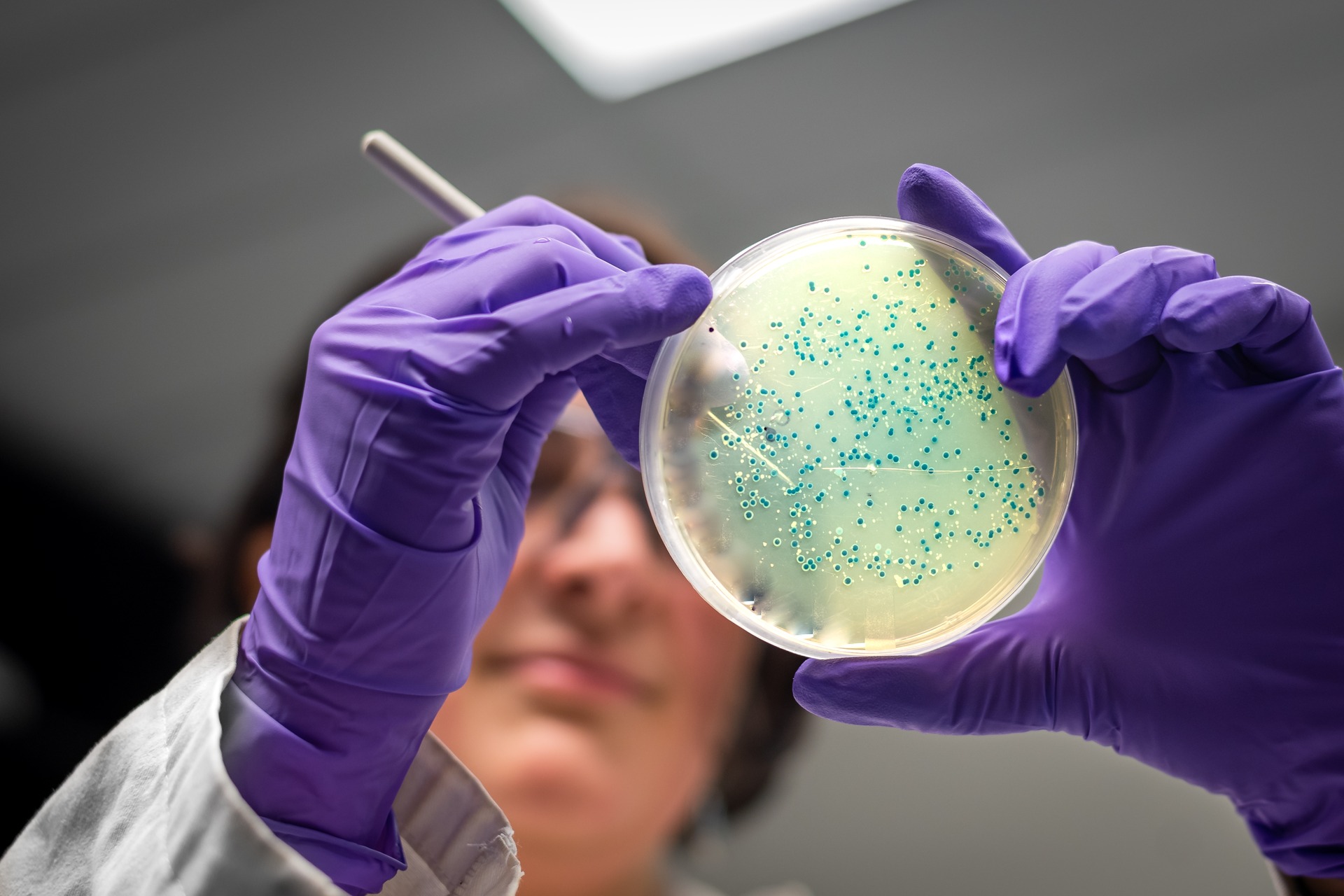 Al centro della ricerca per l'alimentazione anche la tecnologia innovativa delle colture cellulari