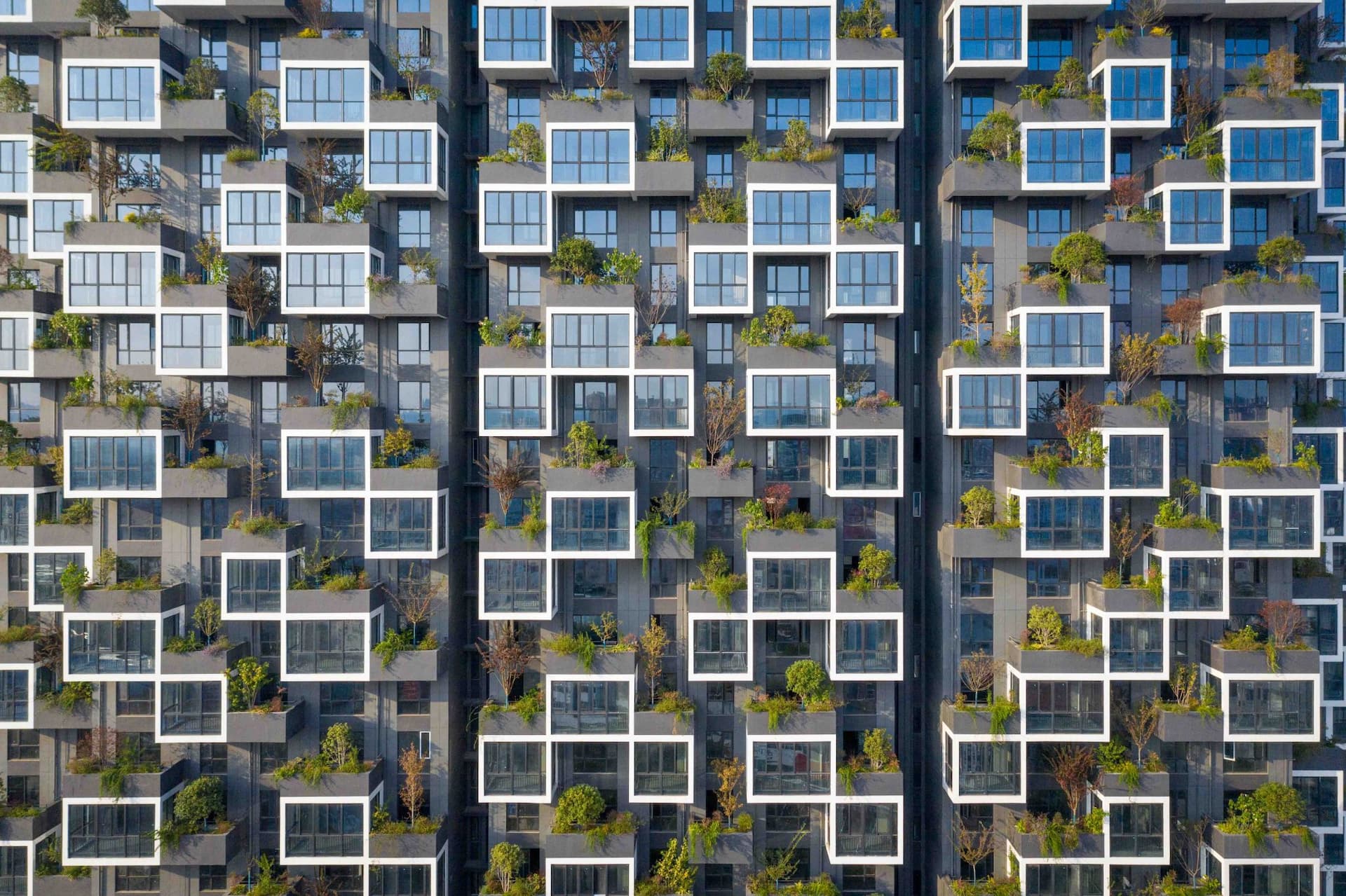 Un particolare del Easyhome Huanggang Vertical Forest City Complex, realizzato nella provincia di Hubei in Cina. E' composto da cinque torri alte 80 metri, caratterizzate dalla presenza di balconi aperti e chiusi. Gli edifici ospitano 404 alberi, 4620 arbusti e 2408 mq di piante perenni (Foto: Stefano Boeri Architetti)
