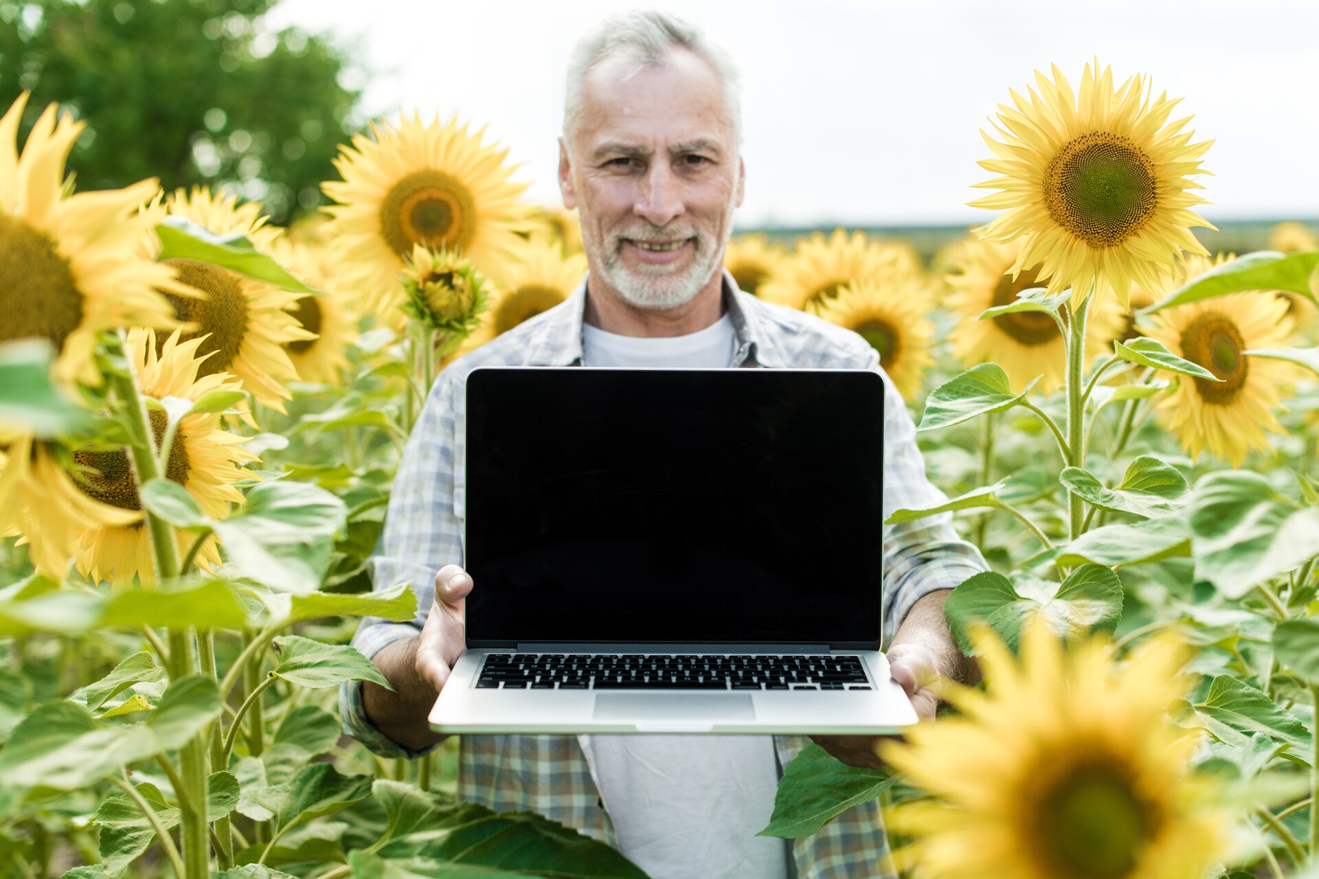Una “società del girasole” per contrastare il riscaldamento globale
