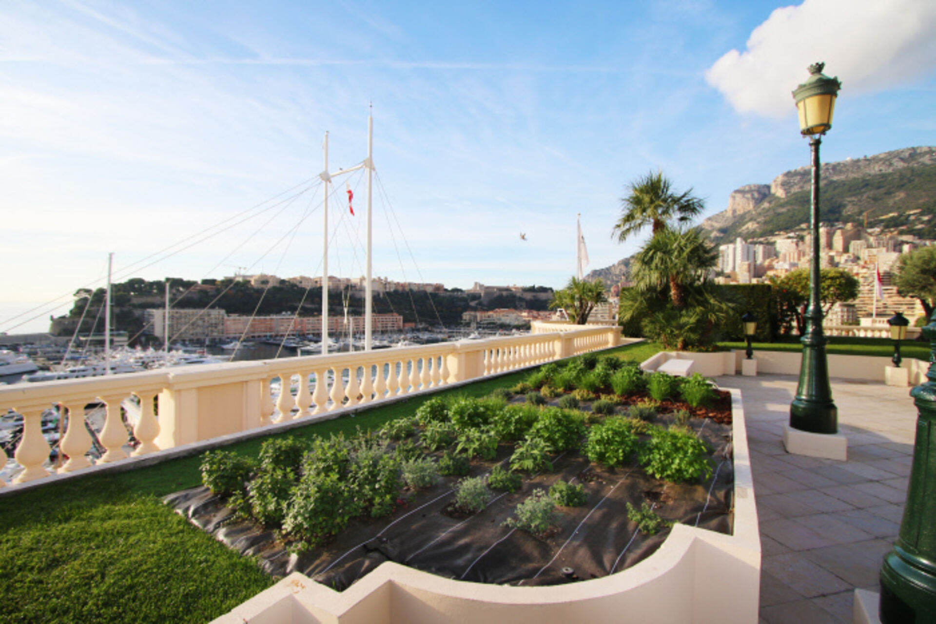 La Société des Bains de Mer persegue obiettivi “green” con orti a km zero a Monte-Carlo