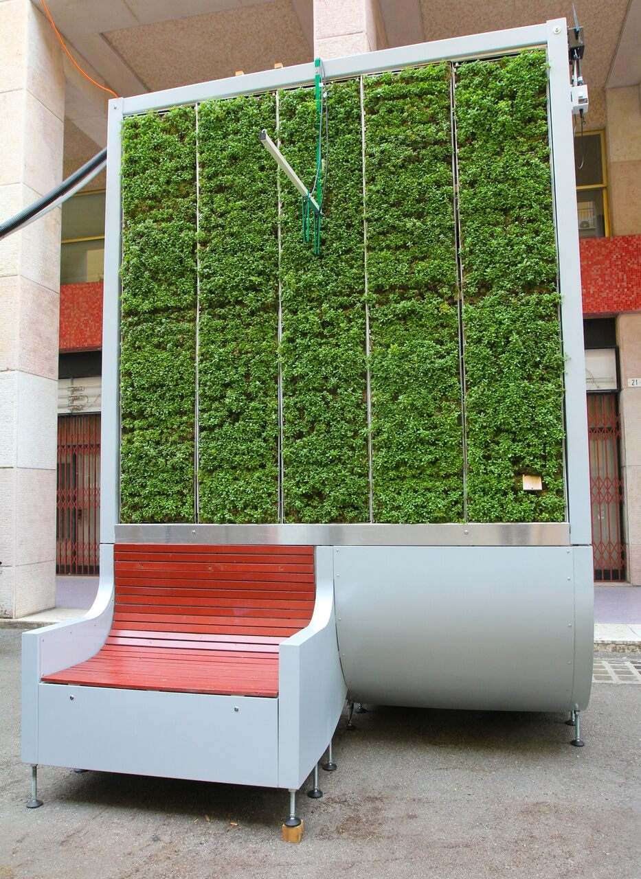 L'installazione di City Tree collocata nel centro storico di Modena