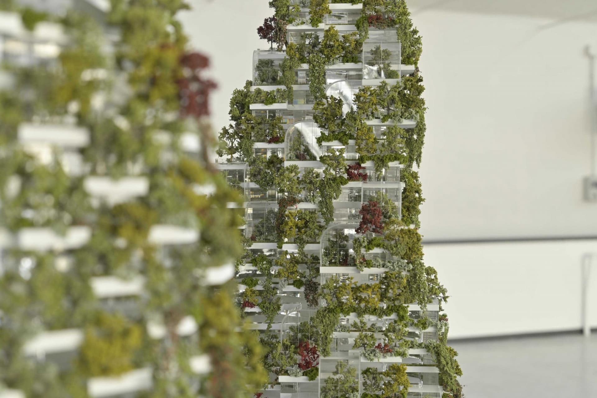 Bosco Verticale: un particolare del modello di Bosco Verticale di Dubai, il primo del suo genere all'interno dell'area MENA del mondo, ovvero la regione che si estende dal Marocco, ad ovest, attraversa la fascia nord-occidentale dell’Africa e prosegue verso l’Iran nel sud ovest asiatico (Foto: Stefano Boeri Architetti)
