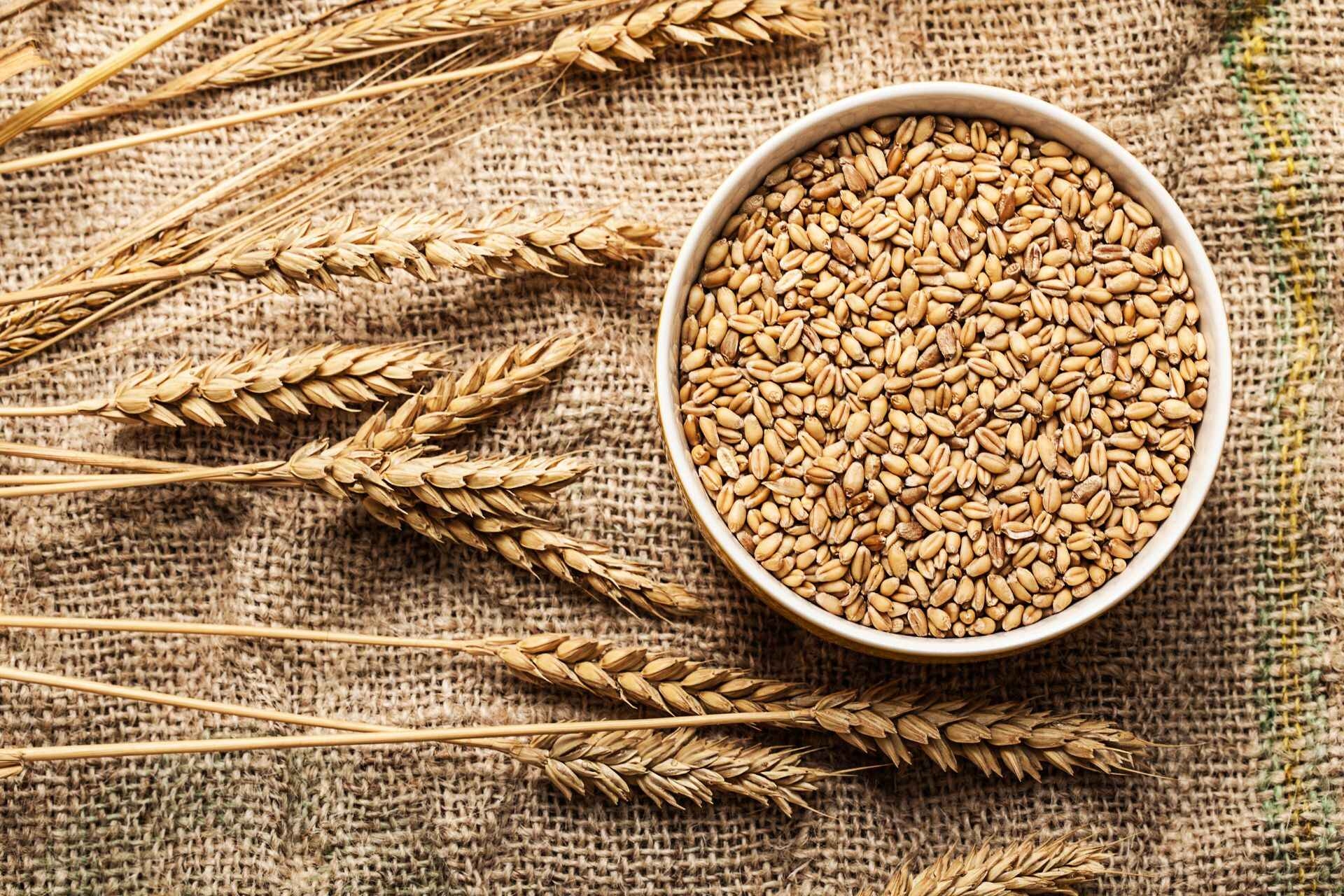 Una delle cause delle infiammazioni sono il frumento e gli altri cereali che contengono glutine