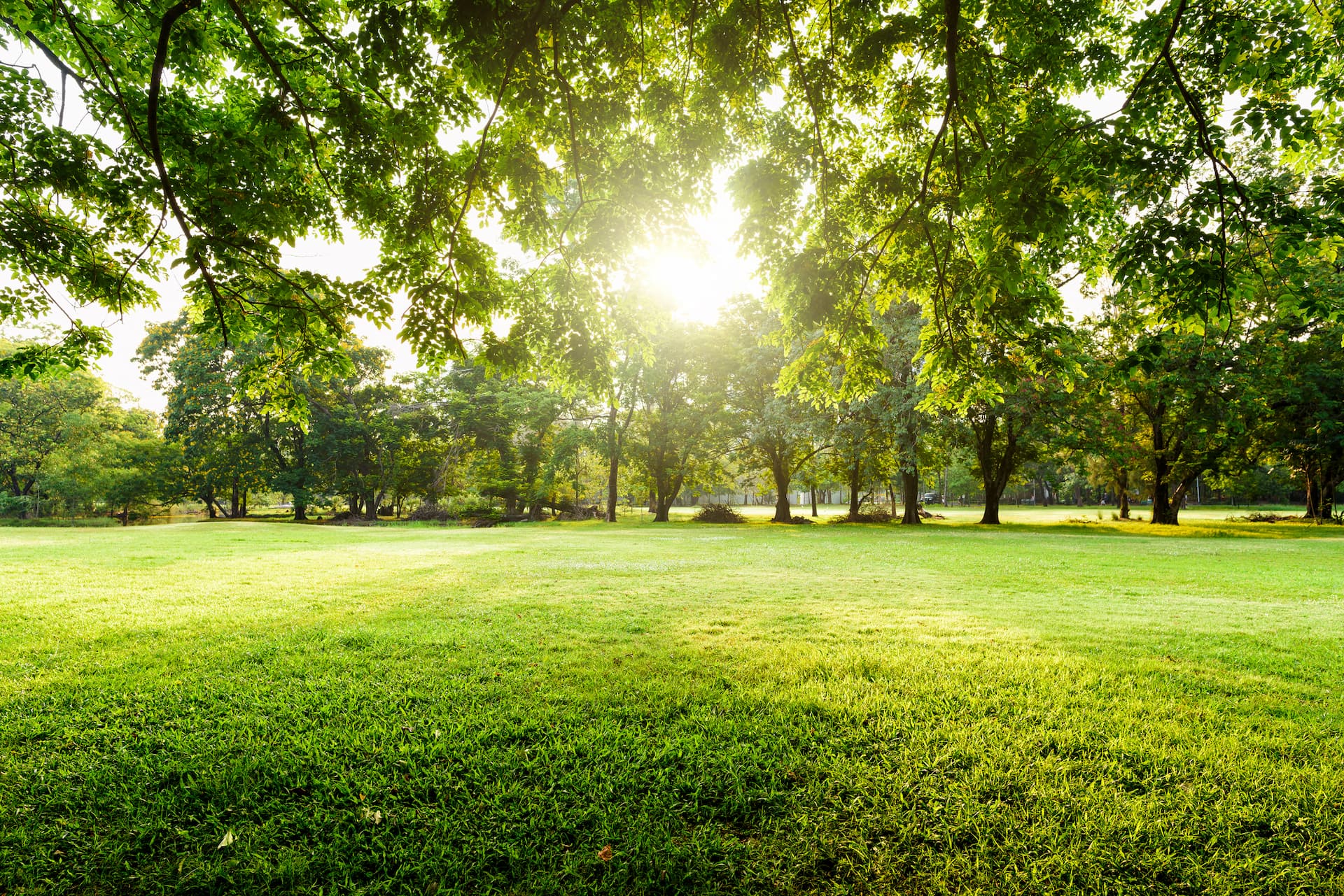 In città gli spazi verdi e i parchi urbani sono fondamentali per la lotta alla crisi climatica, ma anche per favorire il benessere dei cittadini di ogni estrazione sociale (Foto: Yotrak - iStock)