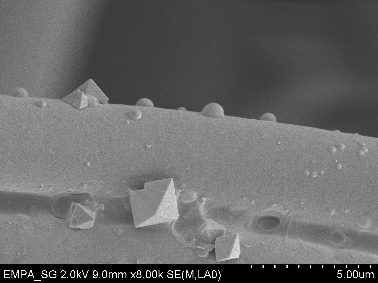 Morte dei virus: solo pochi virus riescono a raggiungere lo strato più interno di una maschera di tessuto: un’immagine (microscopia elettronica a scansione) mostra una fibra tessile con cristalli di sale e virus della dimensione di circa 100 nanometr, evidenziata dalla stringa di misurazione (Foto: EMPA)